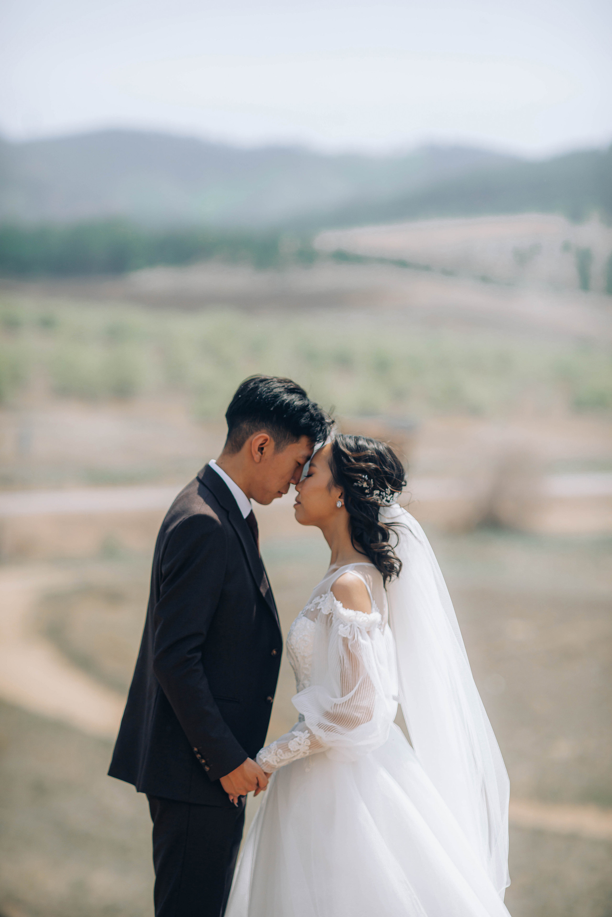 пара на горе спящий лев