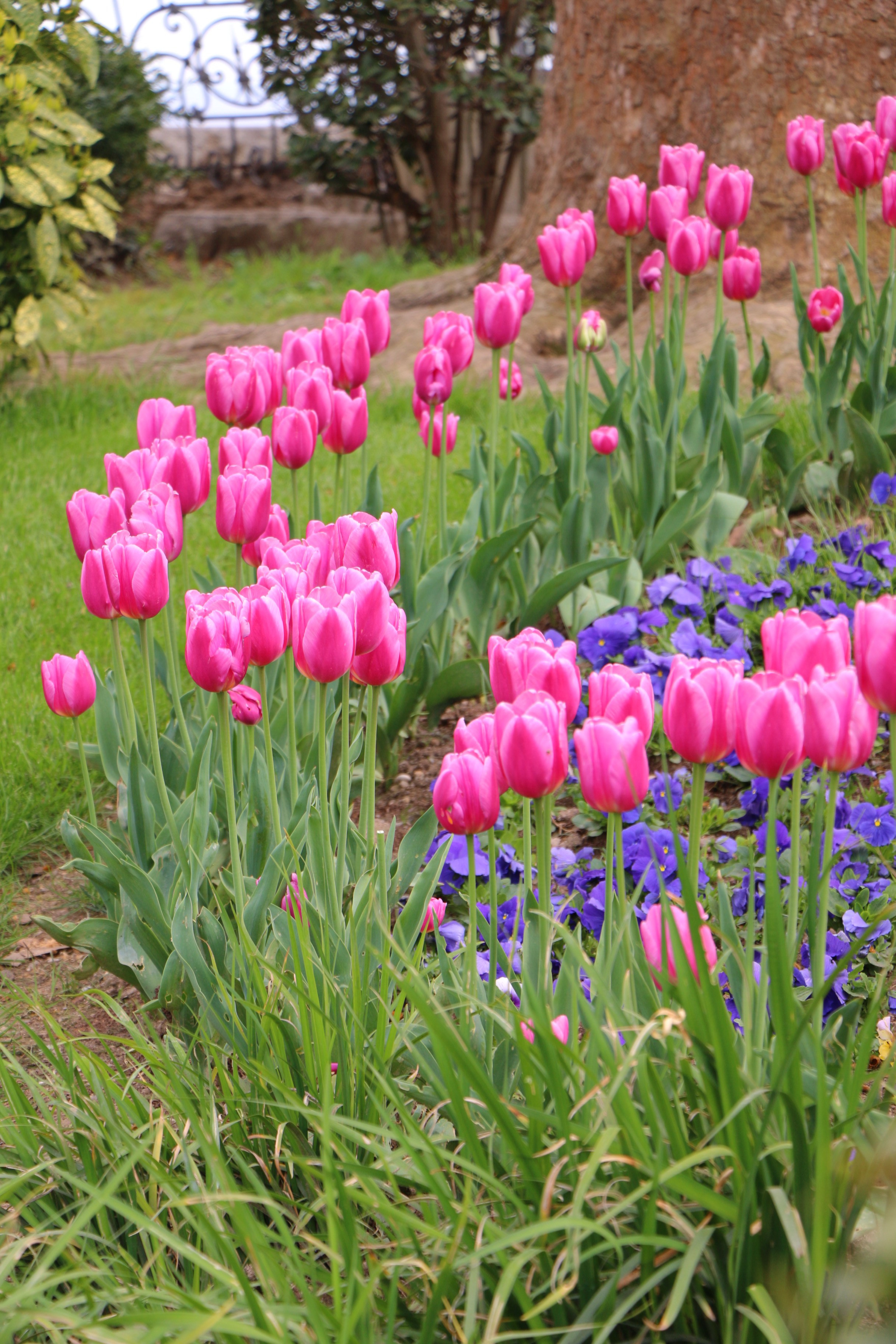 Природа. Семейный и детский фотограф в Ялте Ольга Солерина