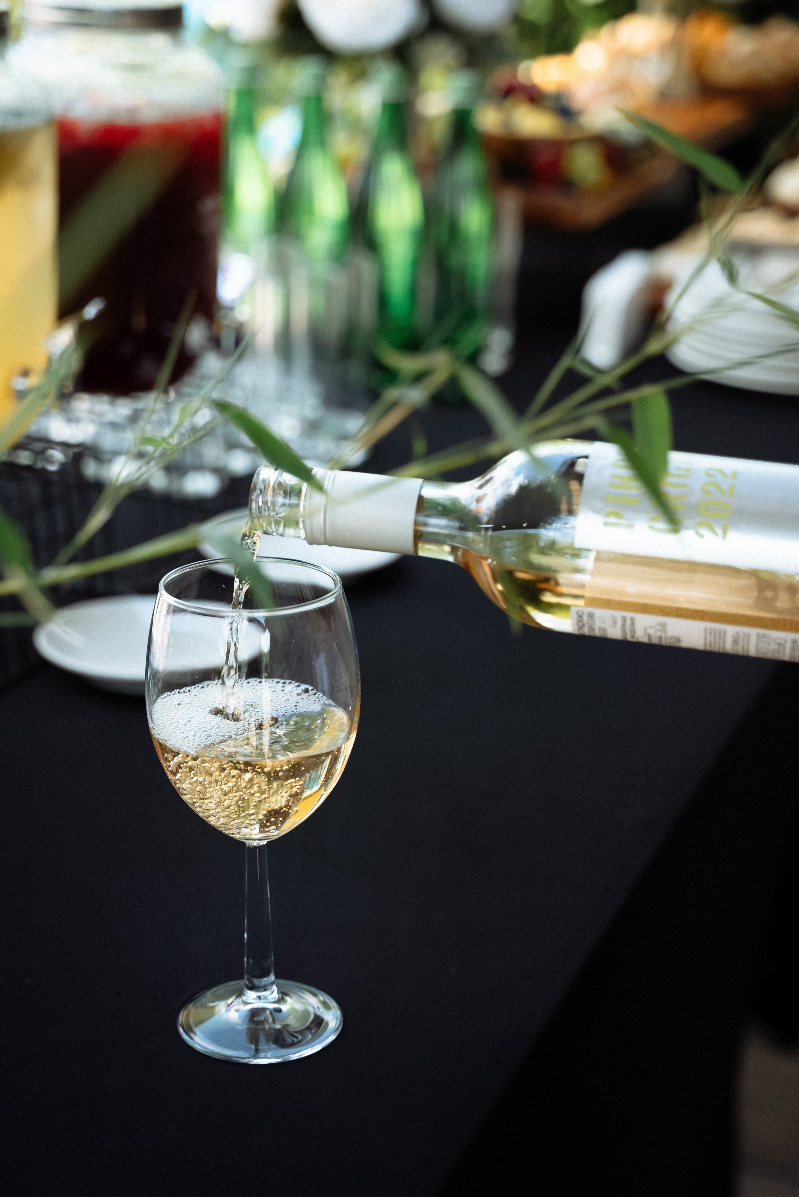 Корпоратив 5 лет компании. Фотограф в Краснодарском крае Александр Шульга