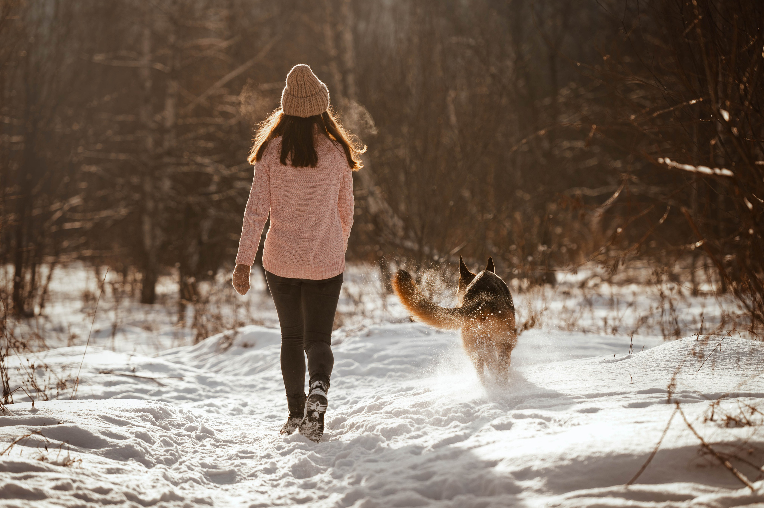 Вольт. Фотограф-анималист