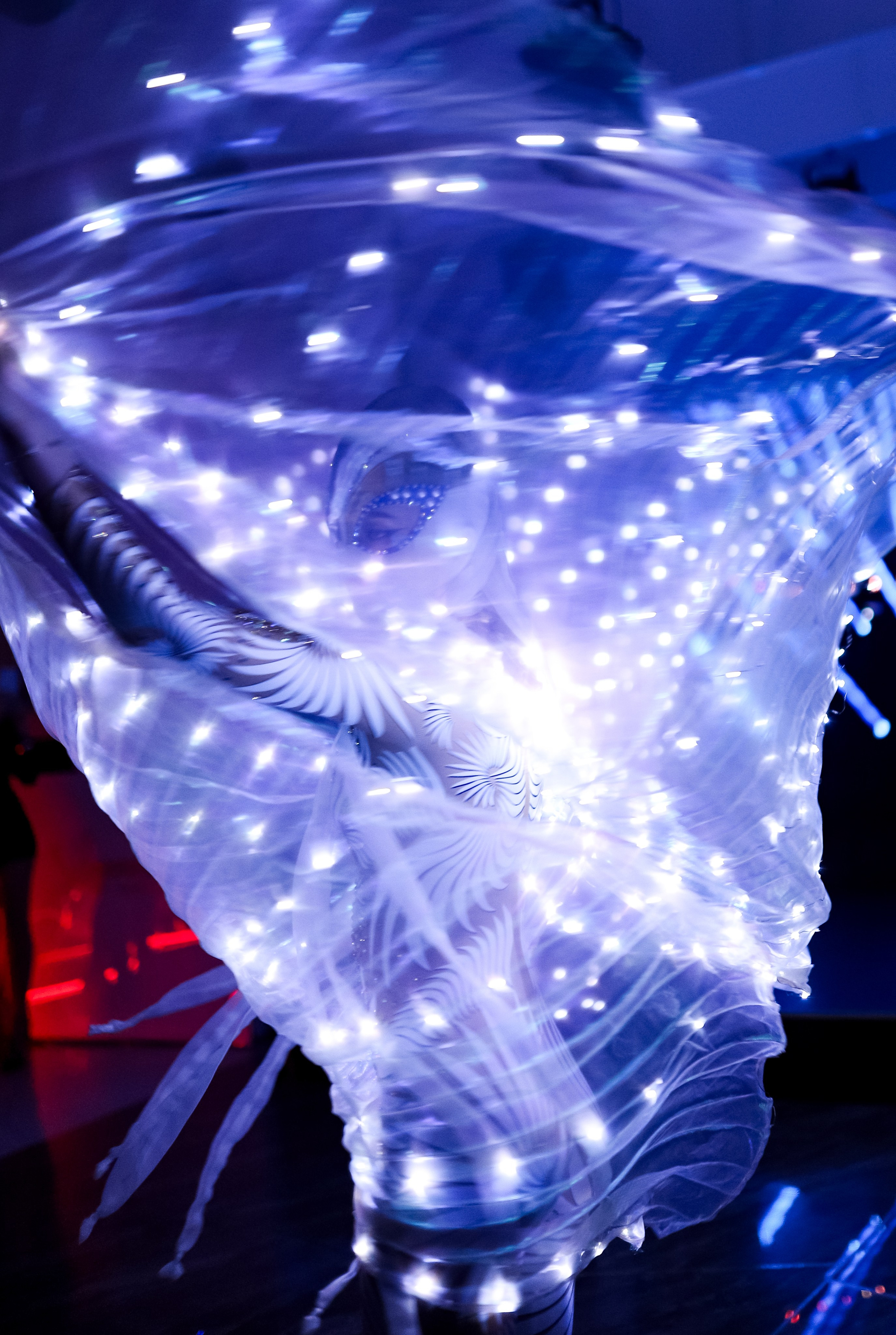 Роскошный вечер Наталии Карамянц