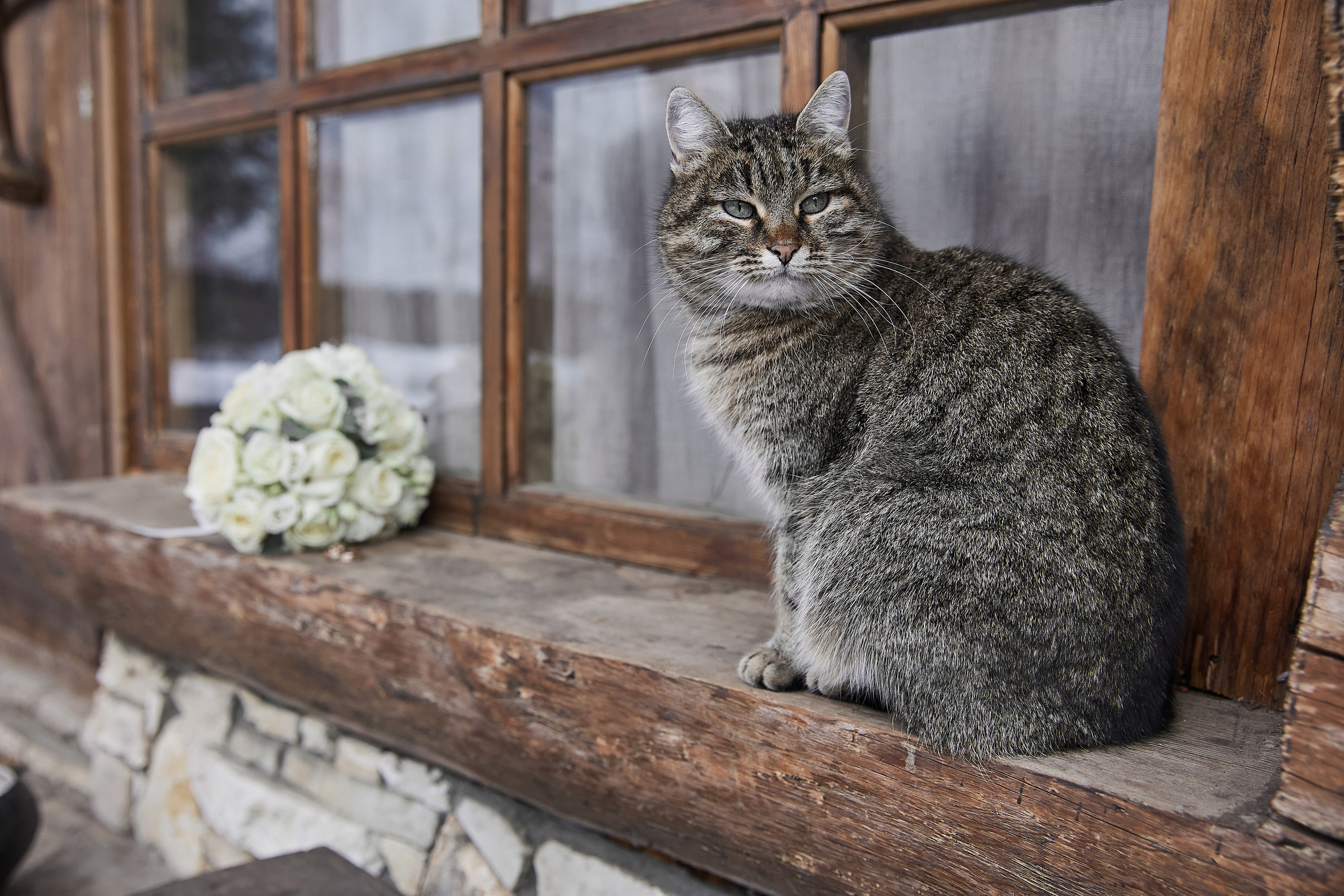 Анна и Дмитрий. Свадебный и семейный фотограф Раменское Жуковский  Александр Зимин