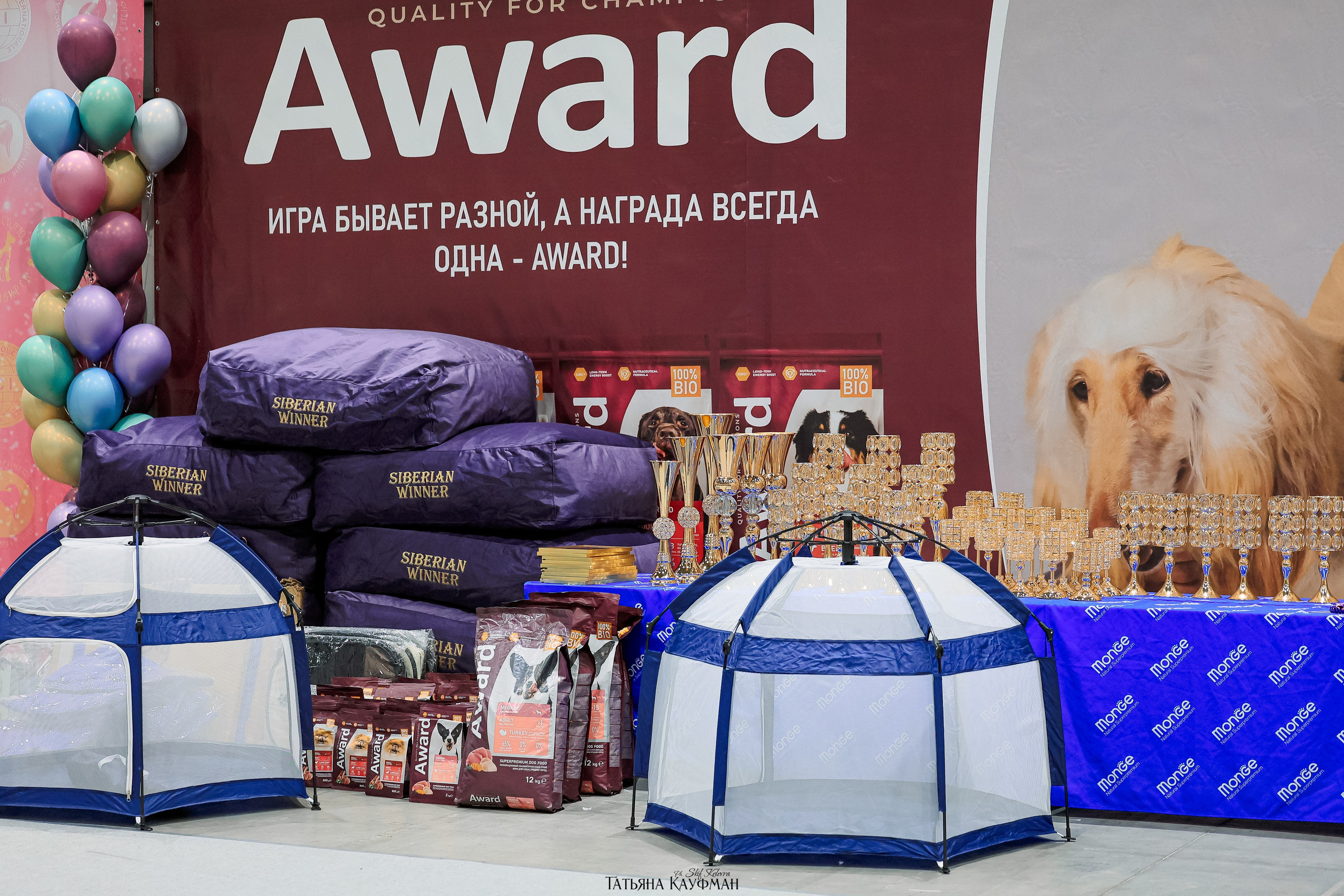 выставка собак в Новосибирске ABSOLUT WINNER-2026, Рейтинговая выставка собак