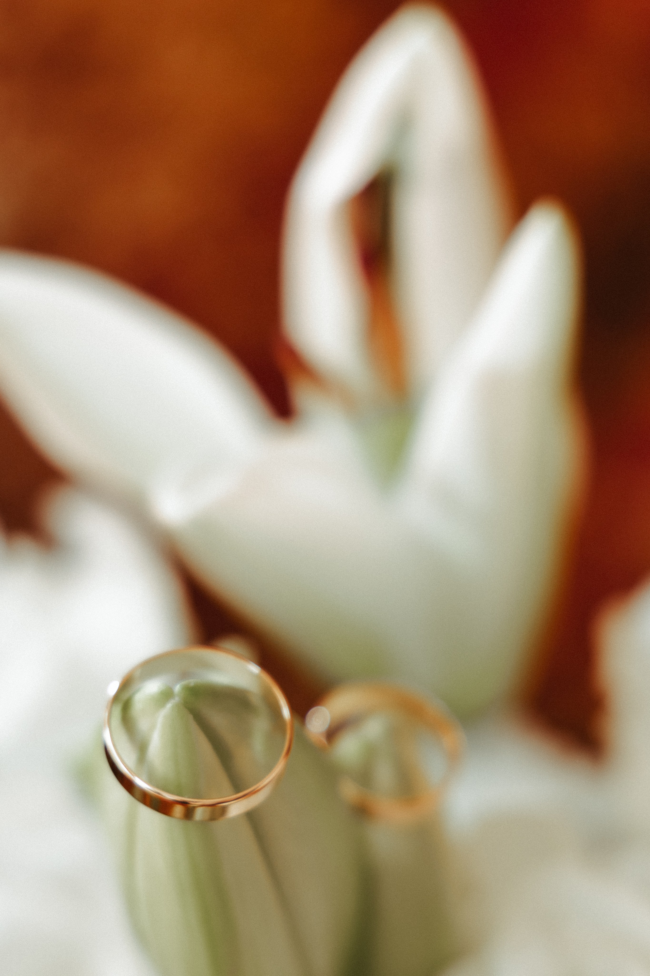 Pavel & Violetta. Свадебный и семейный фотограф в Краснодаре Диана Смирнова