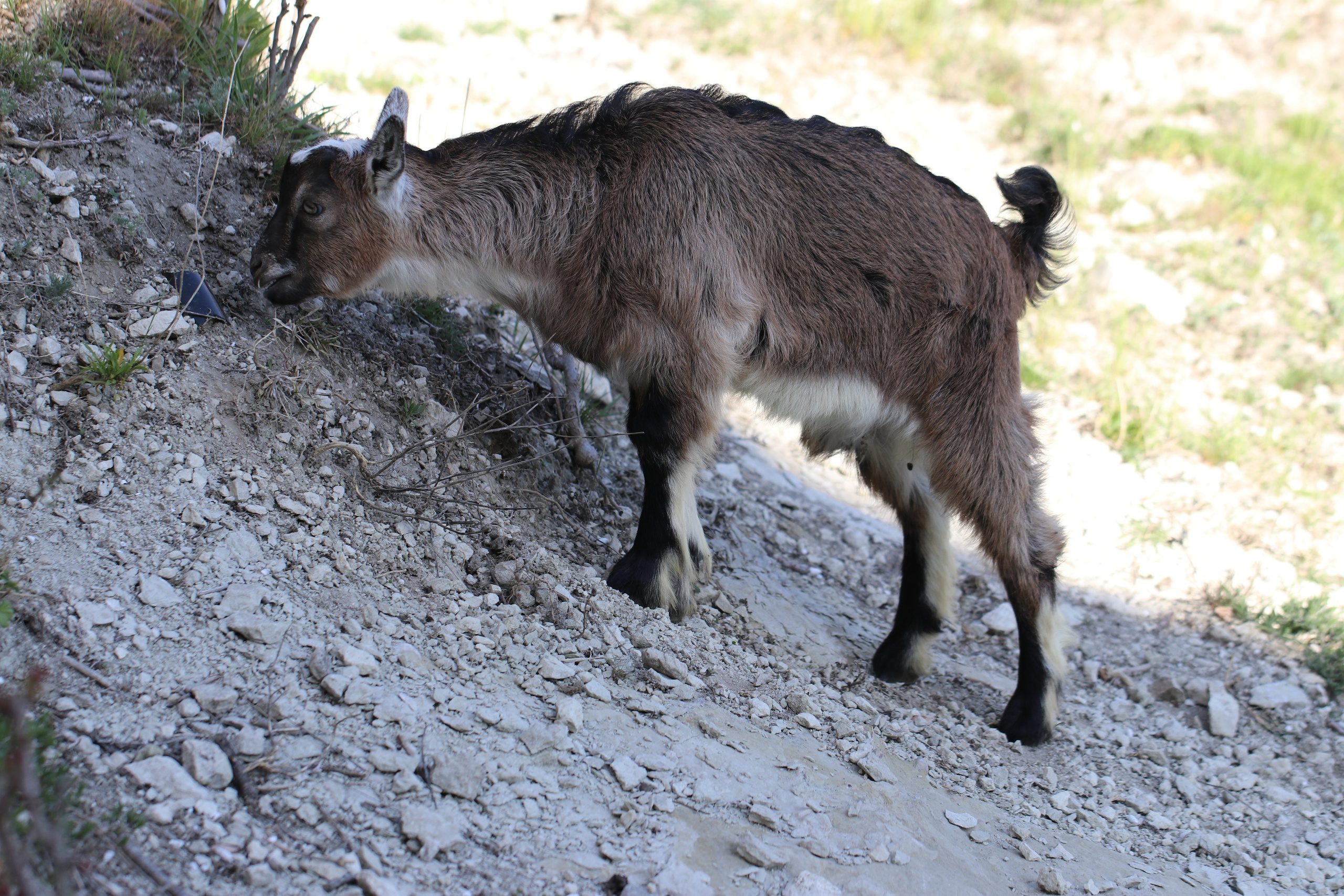 Крым. ЮБК (Бахчисарай, Кастрополь, Таракташская тропа). Май 2021. Путешественник-фотограф из Санкт-Петербурга Татьяна Свистулина