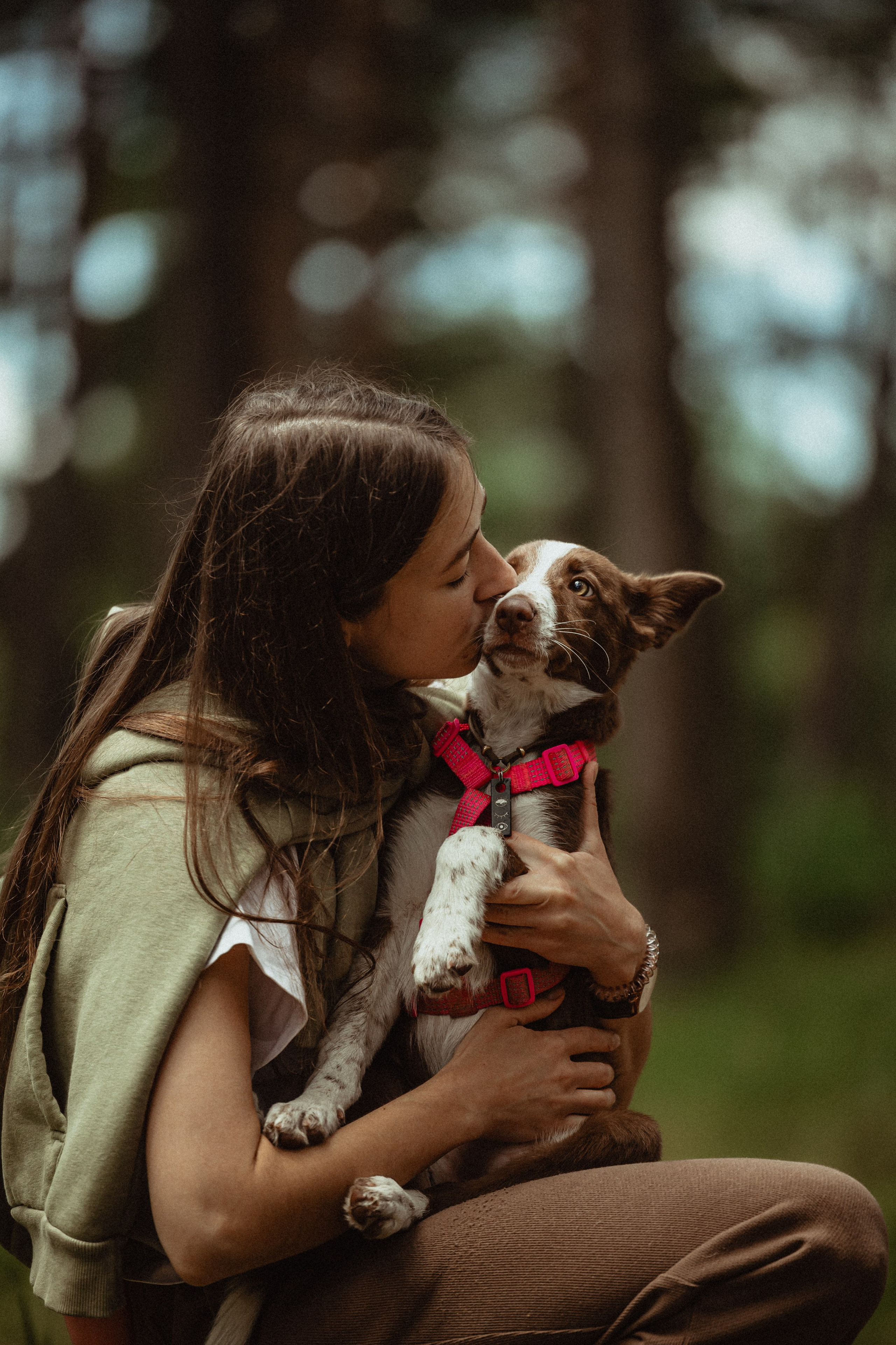 Выездной дог-тренинг от школы «Шерсть имею»