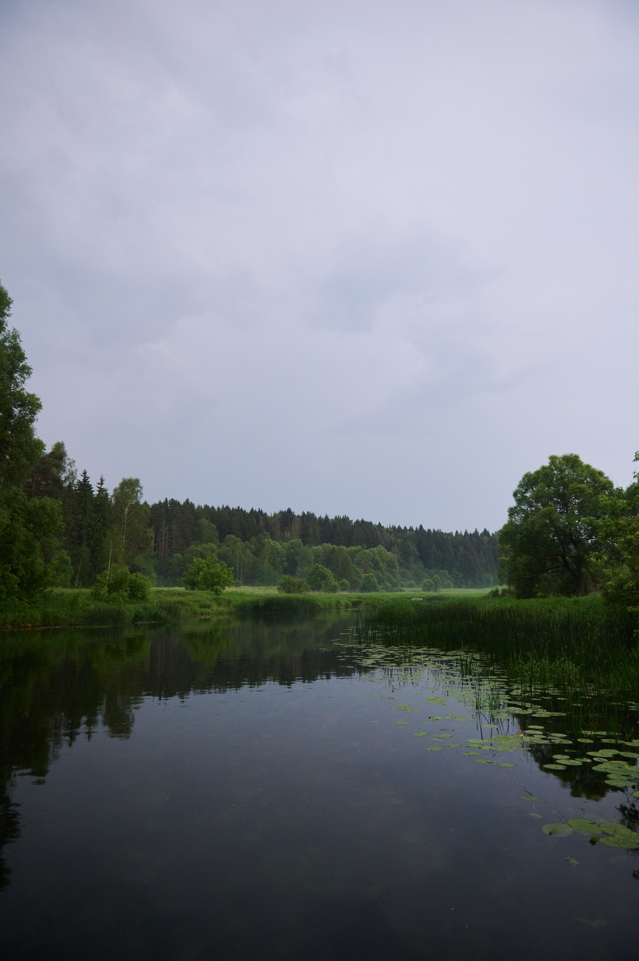 Июнь р. Протва. Главная