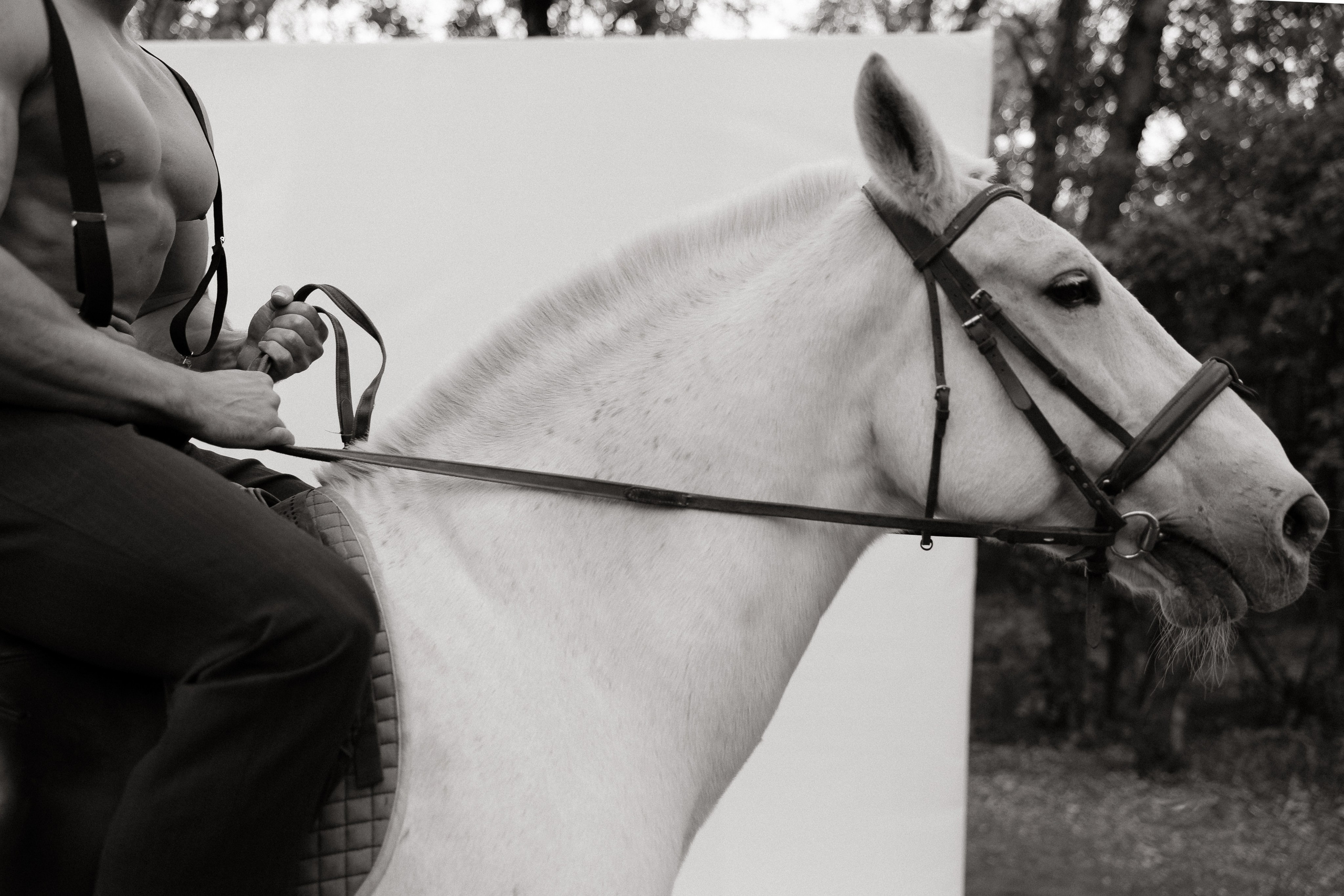 Александр и Кристина. Свадебный | Семейный фотограф