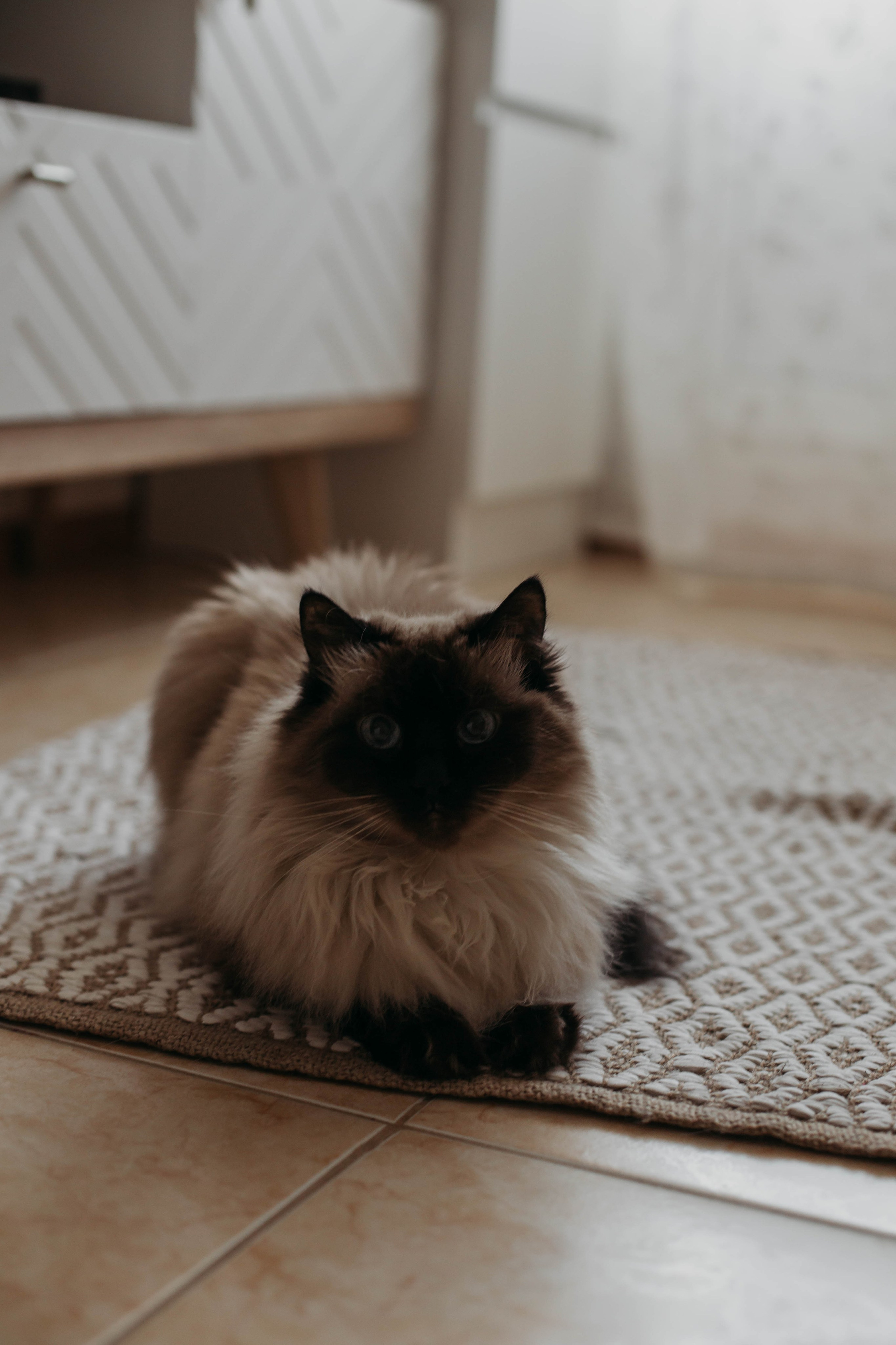 Нина и Алина. Фотограф в Санкт-Петербурге Дарья Заплитная