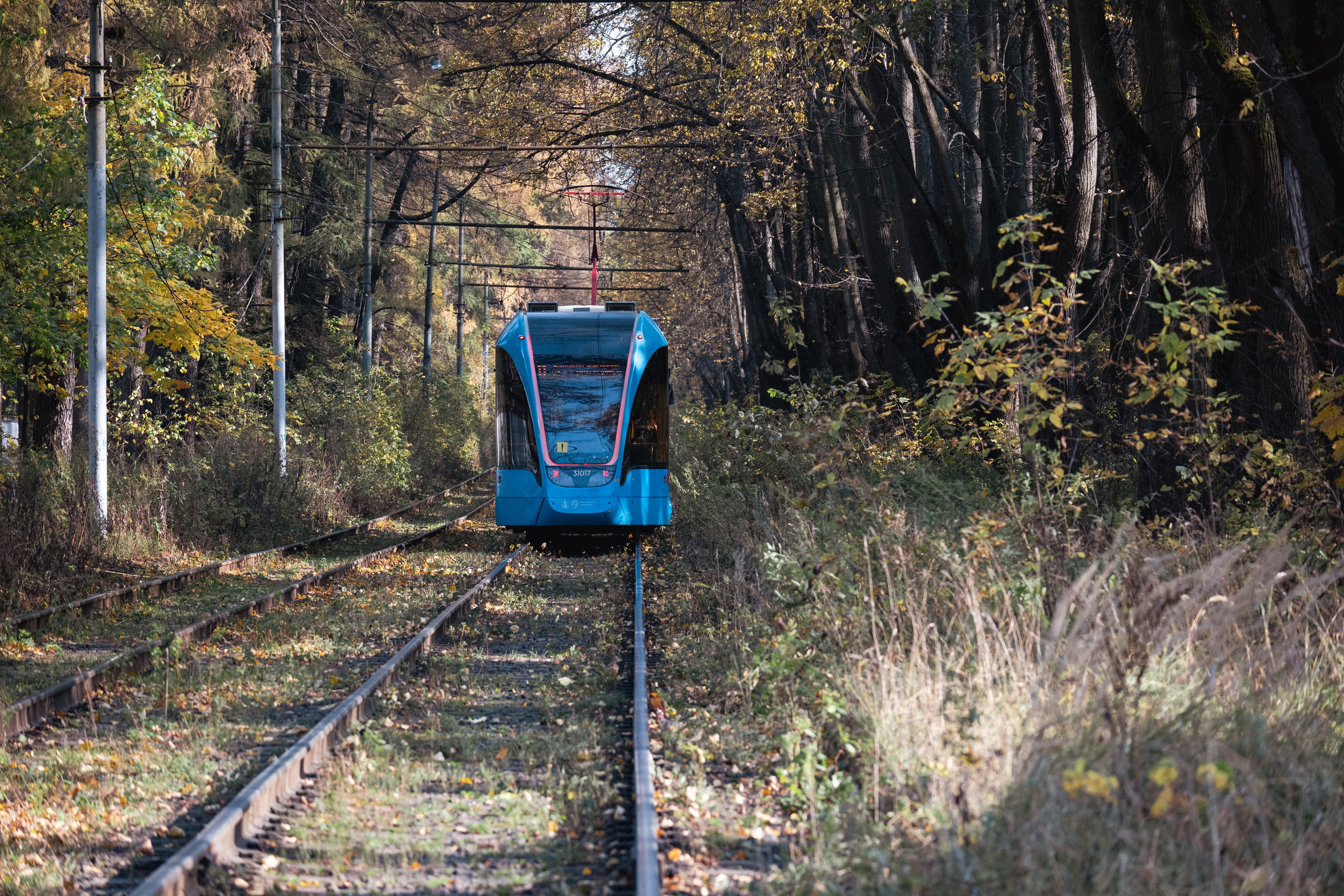 20241012 Измайлово. Дмитрий Ремизов. Фотография, как хобби