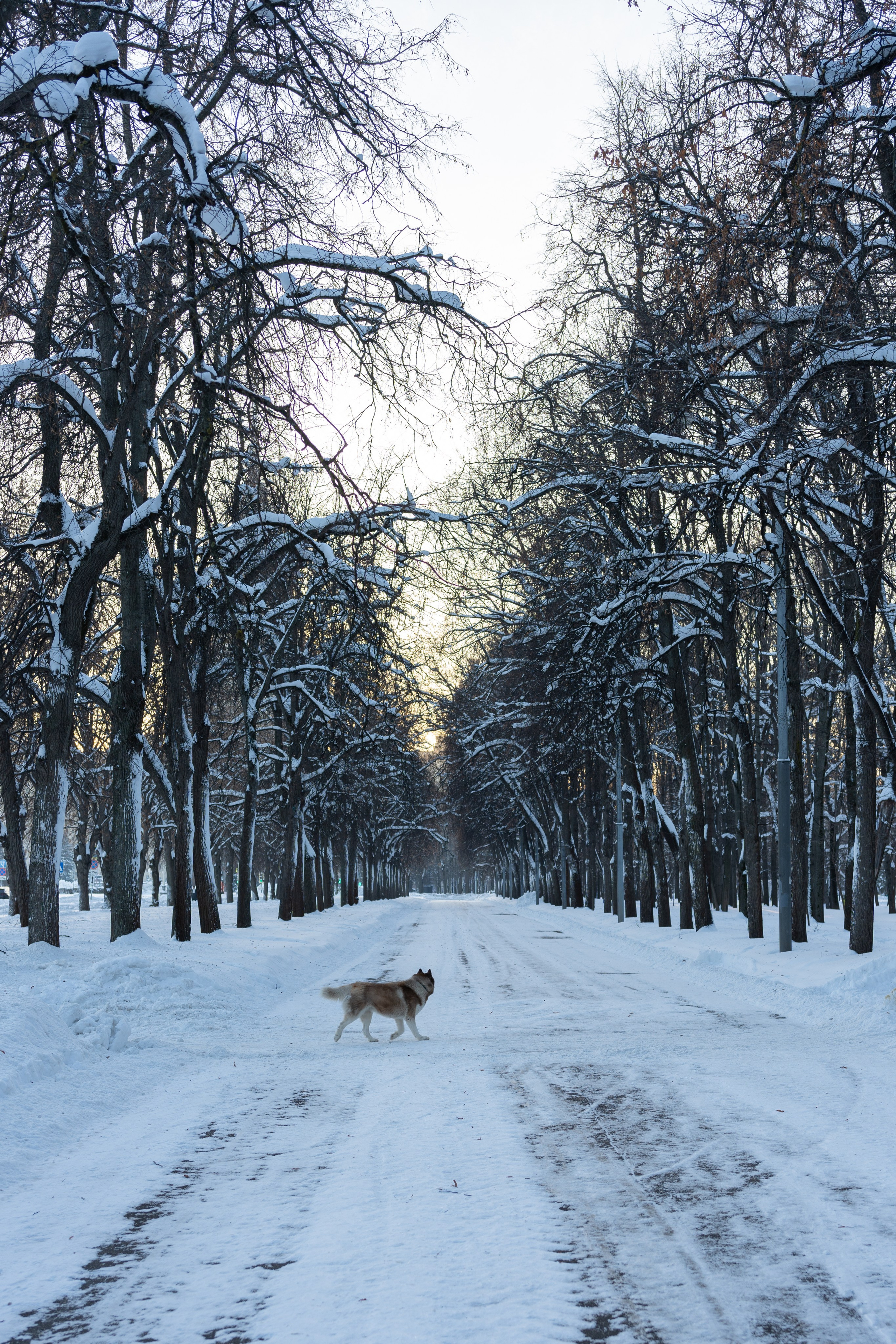 20260118 МГУ. Дмитрий Ремизов. Фотография, как хобби