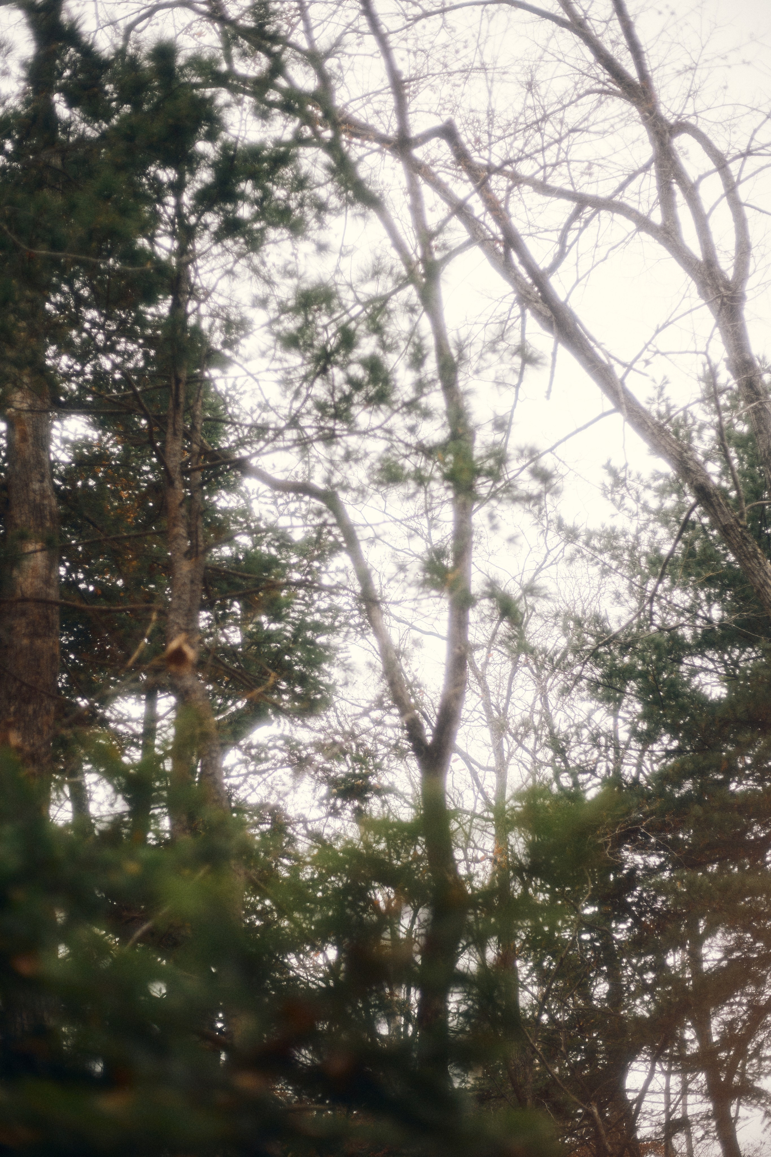 Духи. Фотограф Ионова Анастасия, г Владивосток