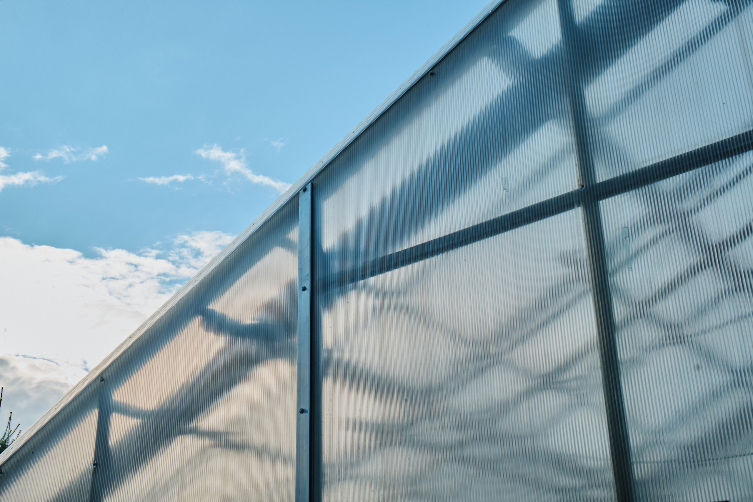 Академ-городок и ботанический сад. Goncharov Tim