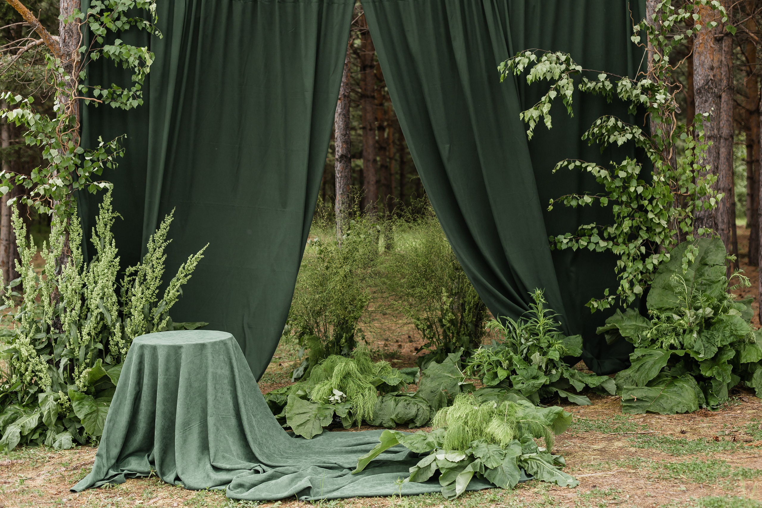 Фотопроекты в Иваново. Свадебный фотограф в Иваново Гитарина Черняева