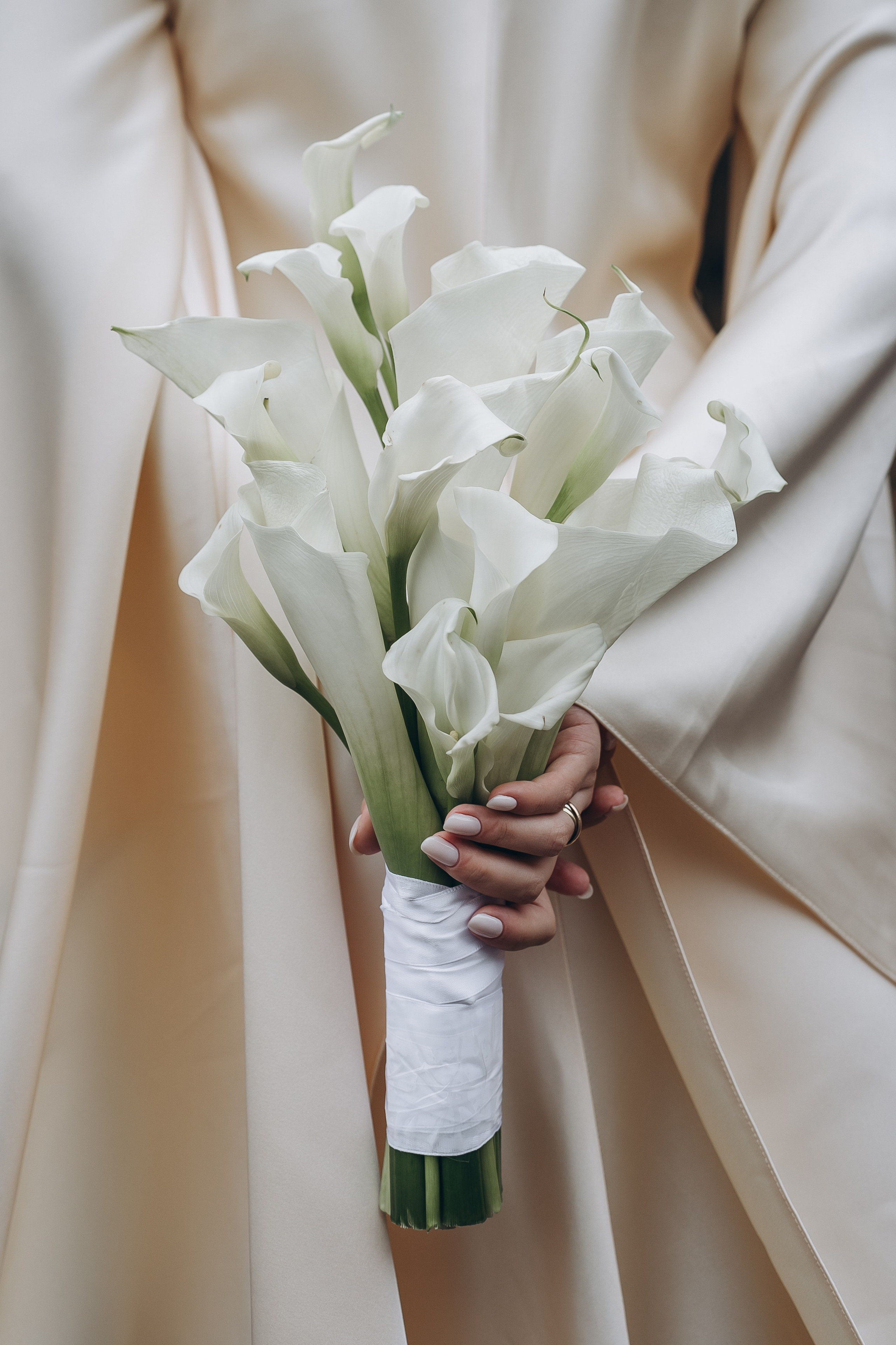 Фотограф Ольга Рубцова в Москве и Московской области