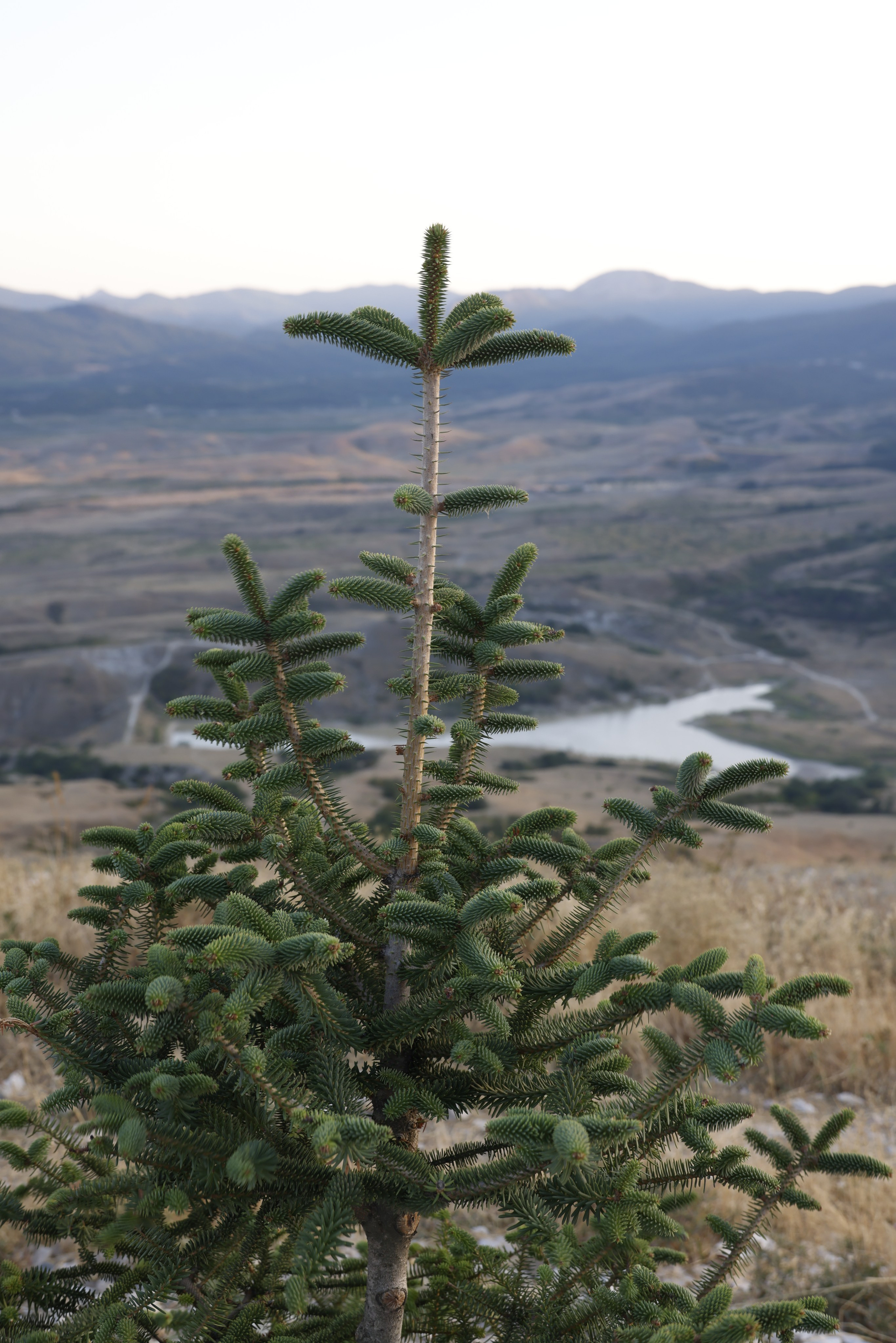 Пейзаж. Фотохудожник BID