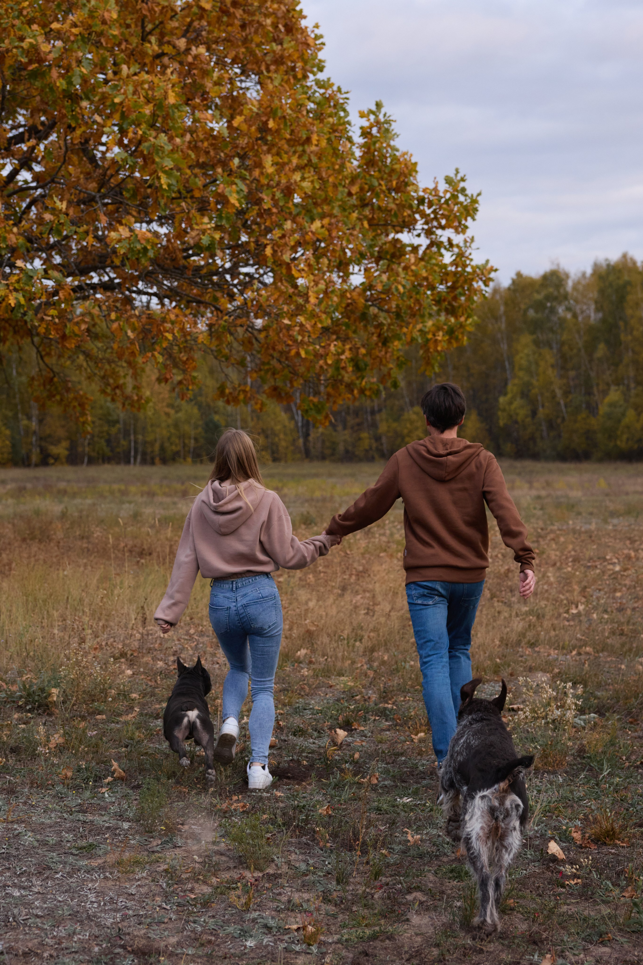 Семейная история. Фотограф анималист в Казани Алина Сулейманова. Фотограф животных