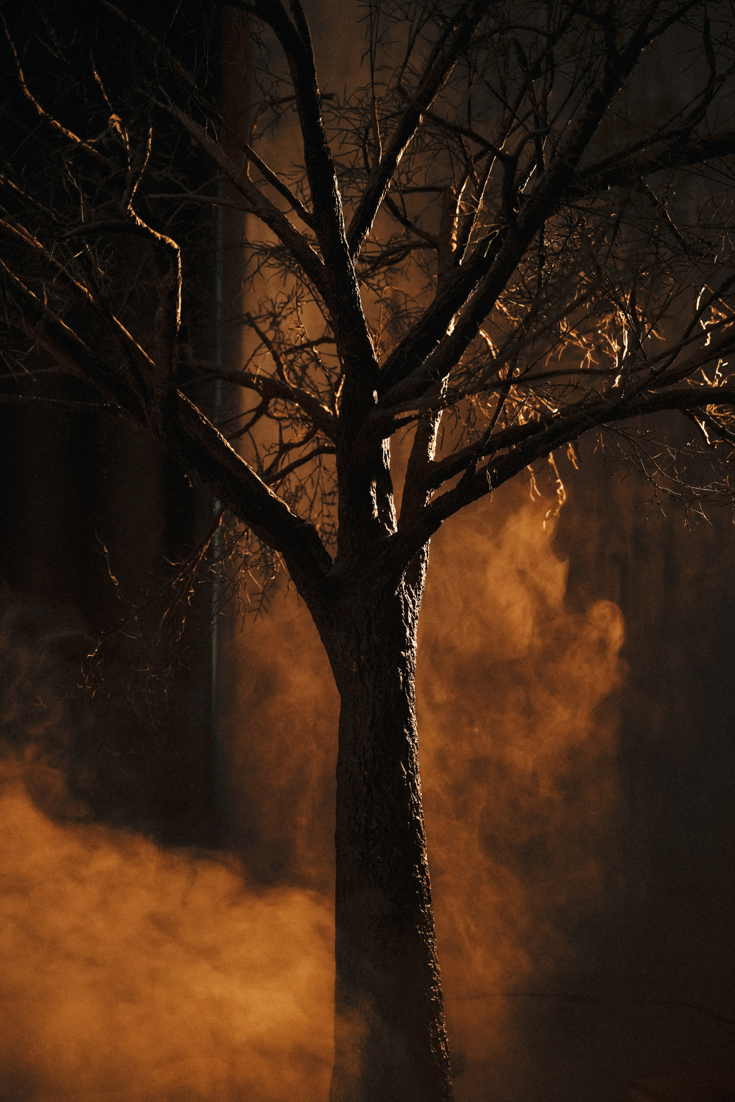 Алия и Тимран. Коновалова Юлия