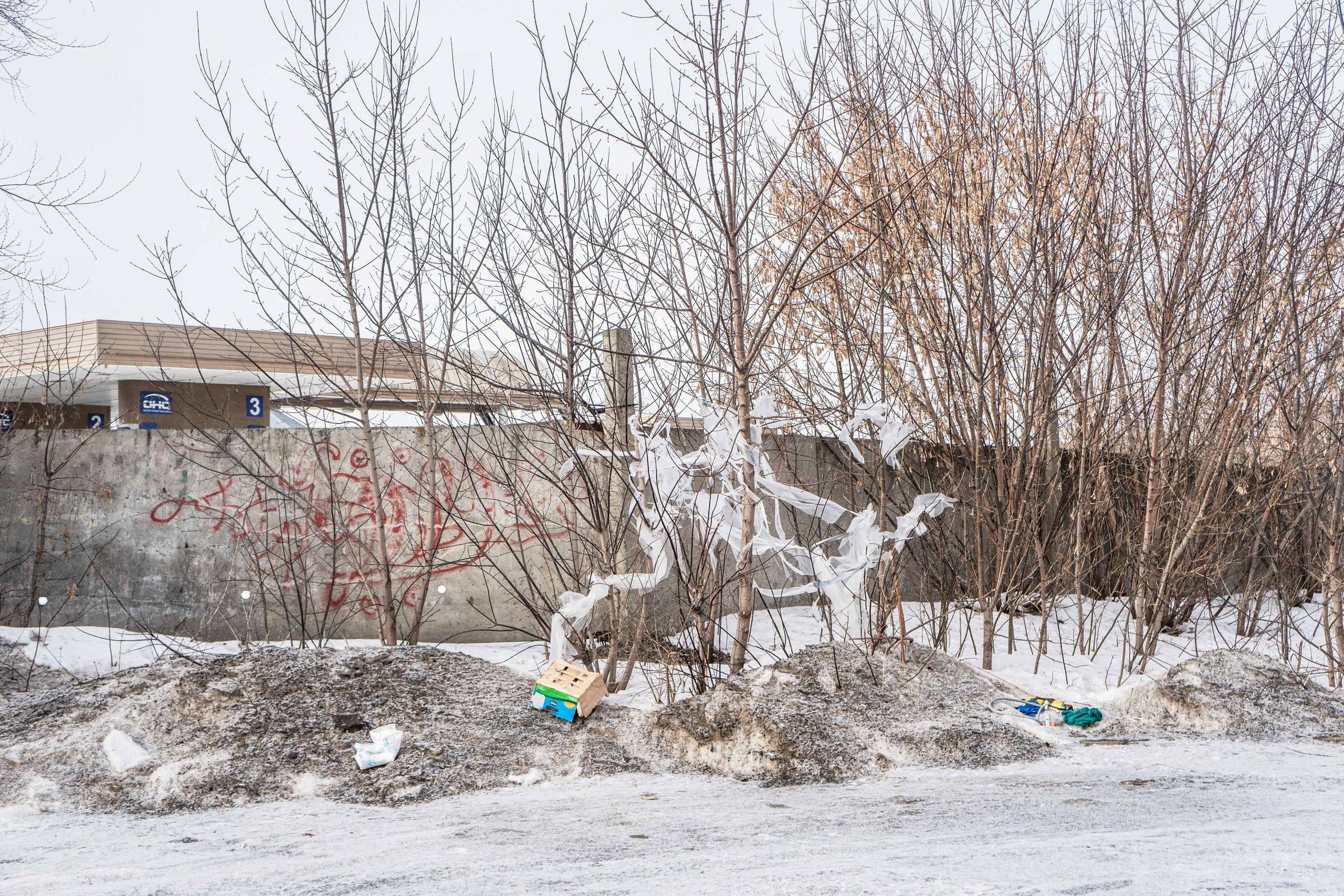 Старый Оскол / 2019. Главная