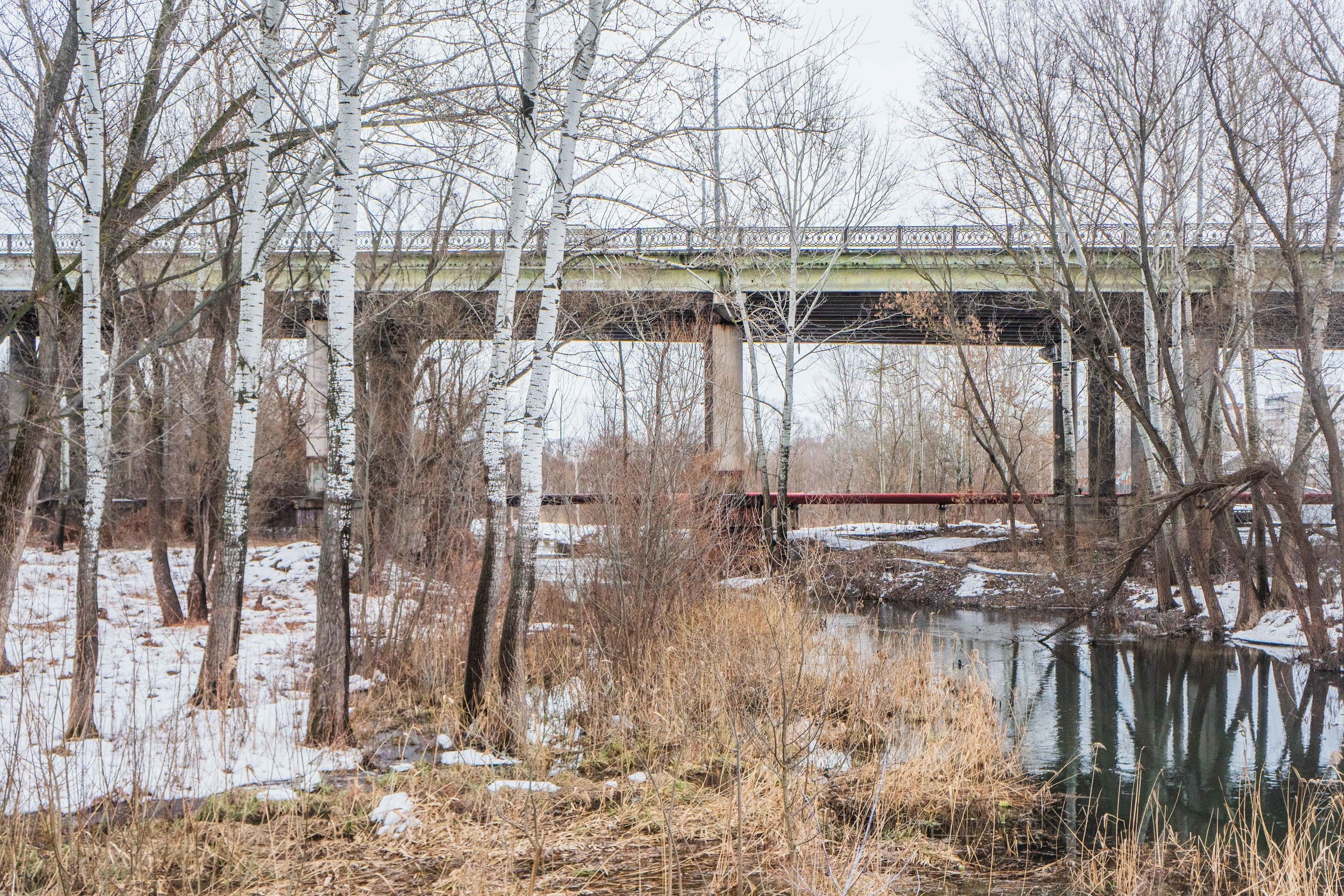 Старый Оскол / 2019. Главная