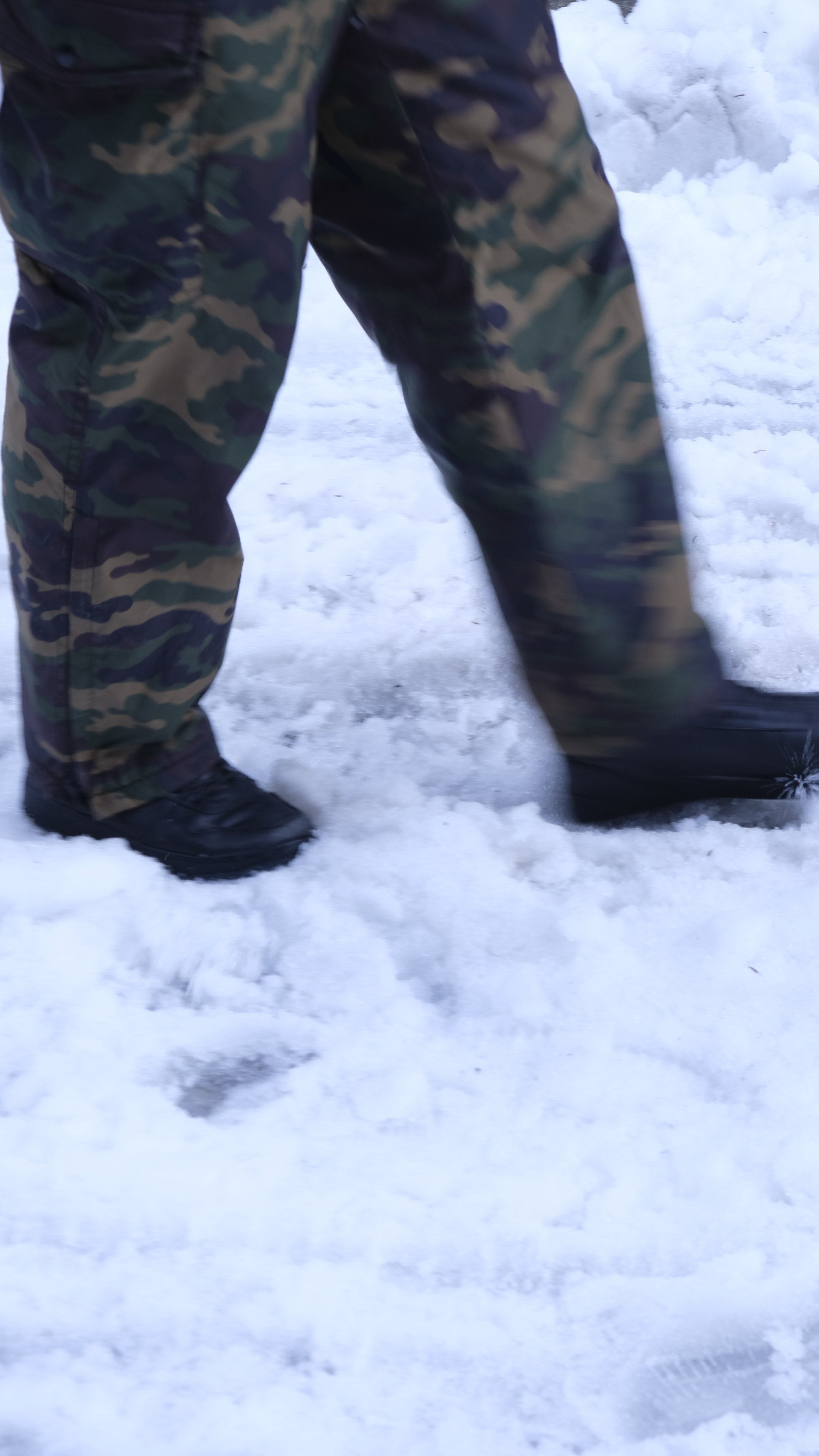 Сталинская дача на Рице зимой. Главная