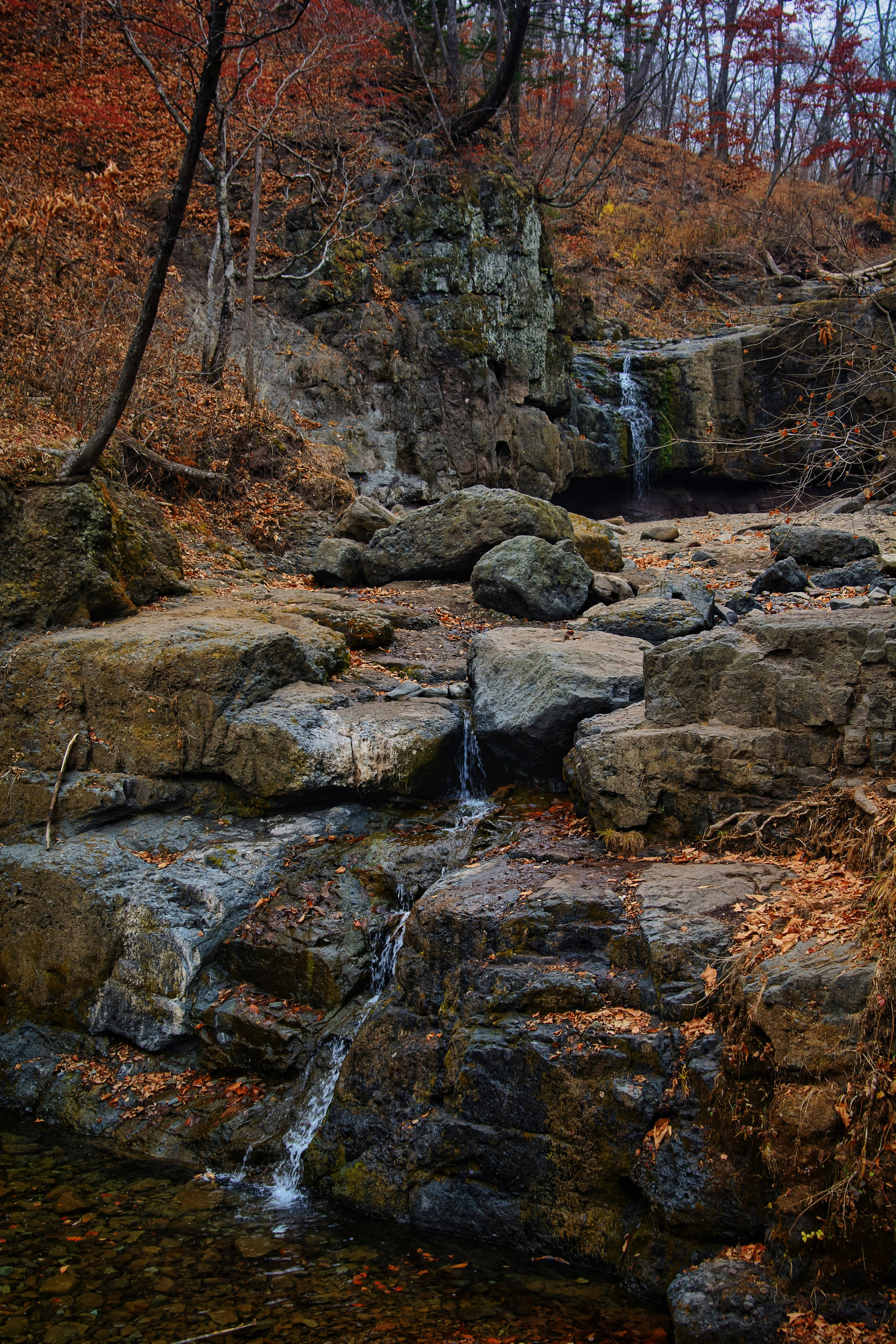 Пейзажи и дикая природа. Пейзажный и репортажный фотограф