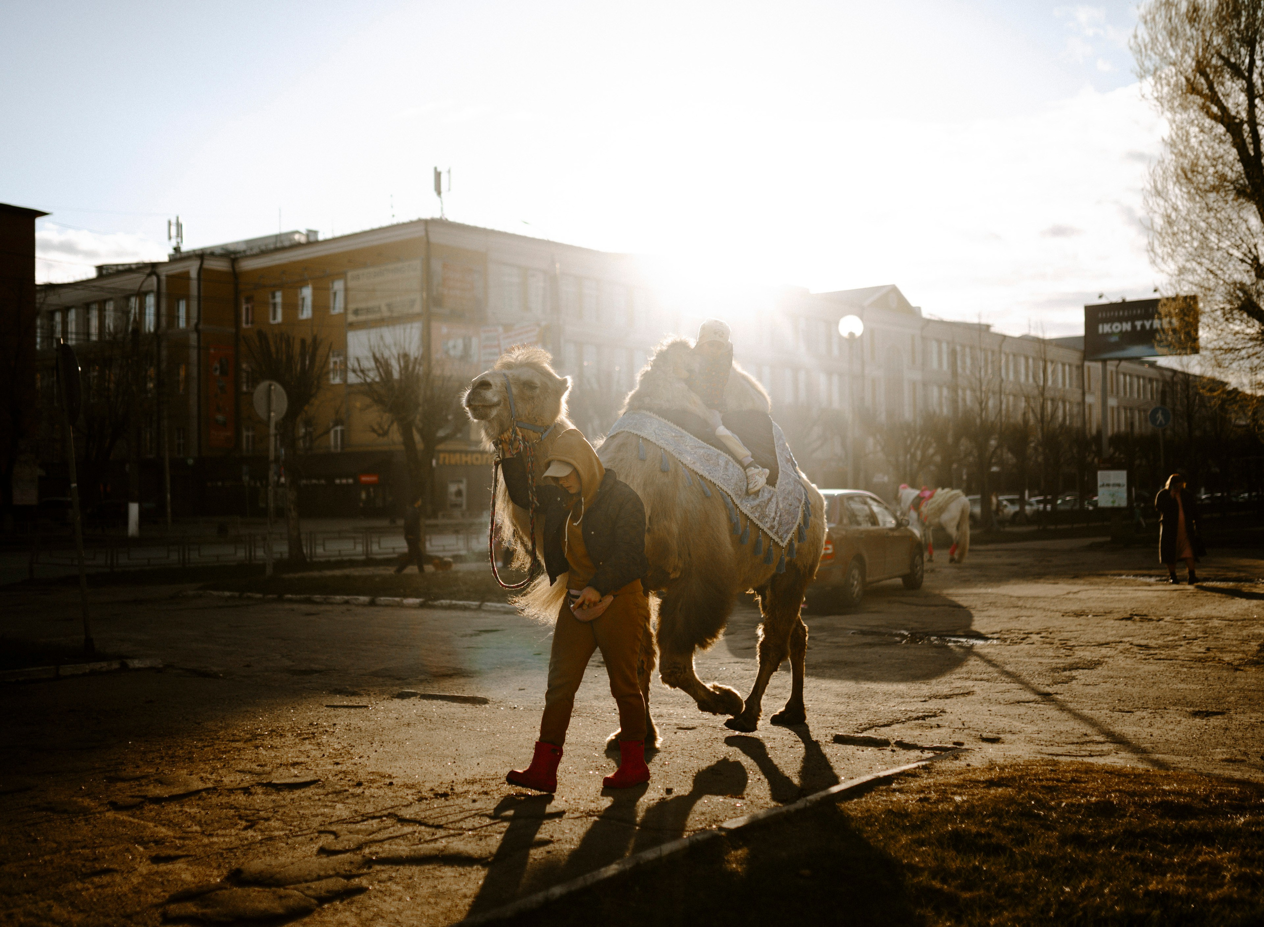 2024. Стрит-фотография, полная абсурда, идиотизма и красоты