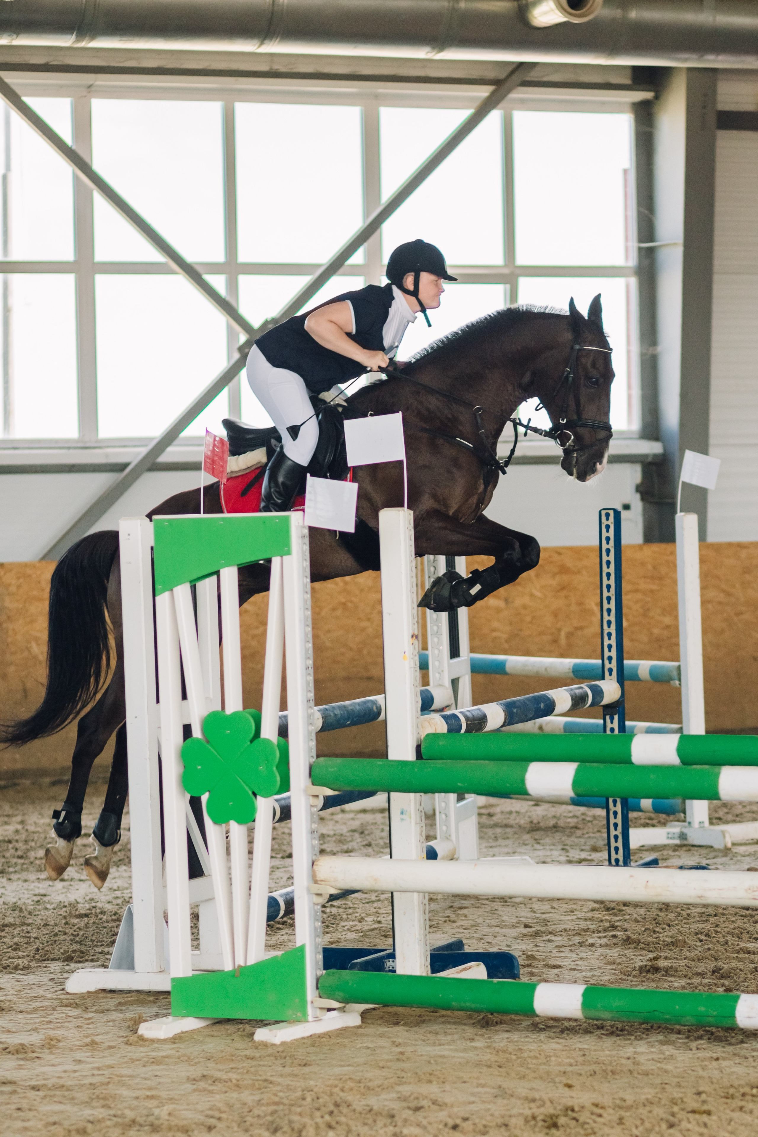Соревнования. Ольга Белова. Портреты с лошадьми. Конная фотография