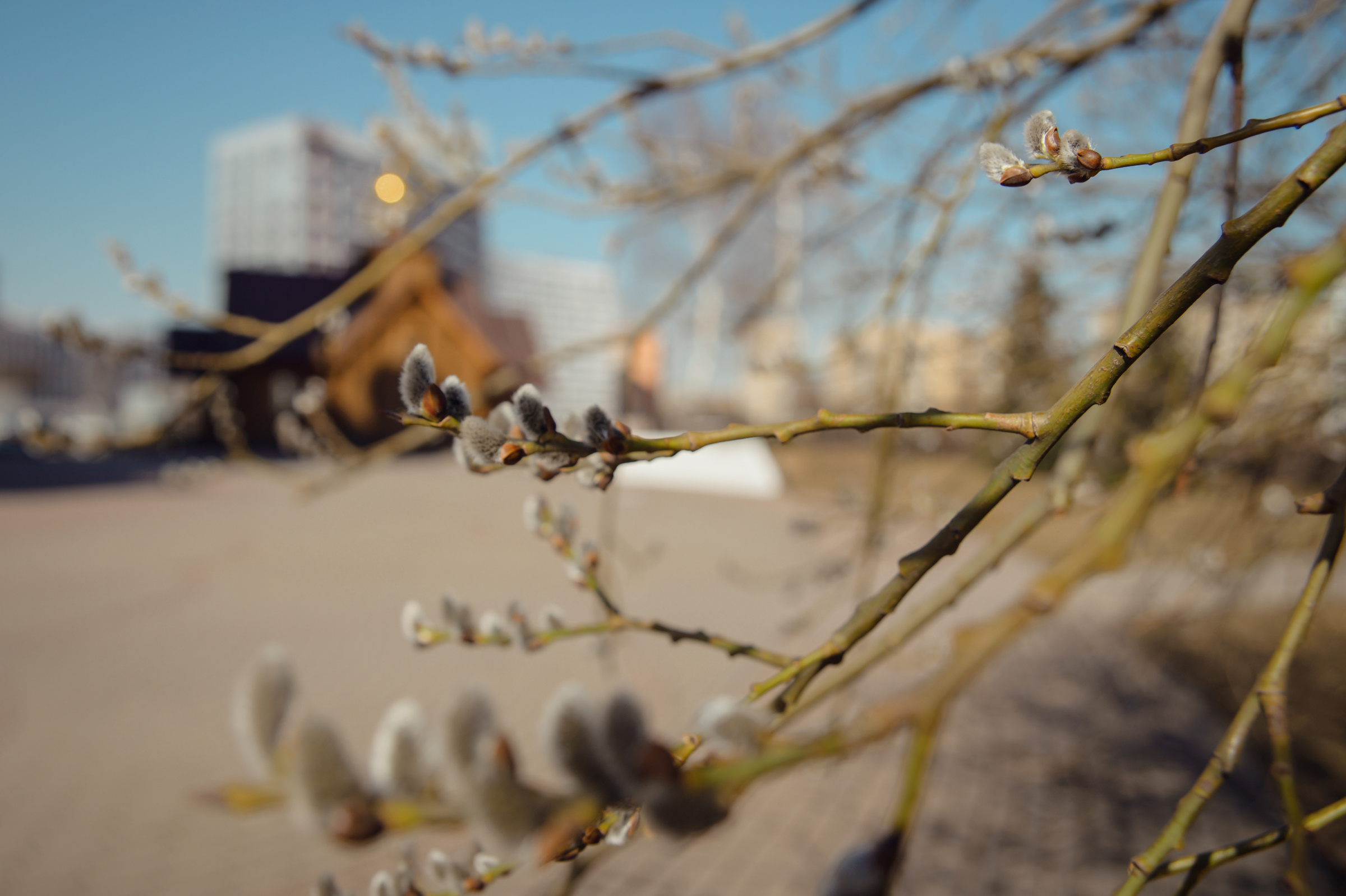 Кристина & Никита. Видеограф и фотограф на свадьбу в Москве