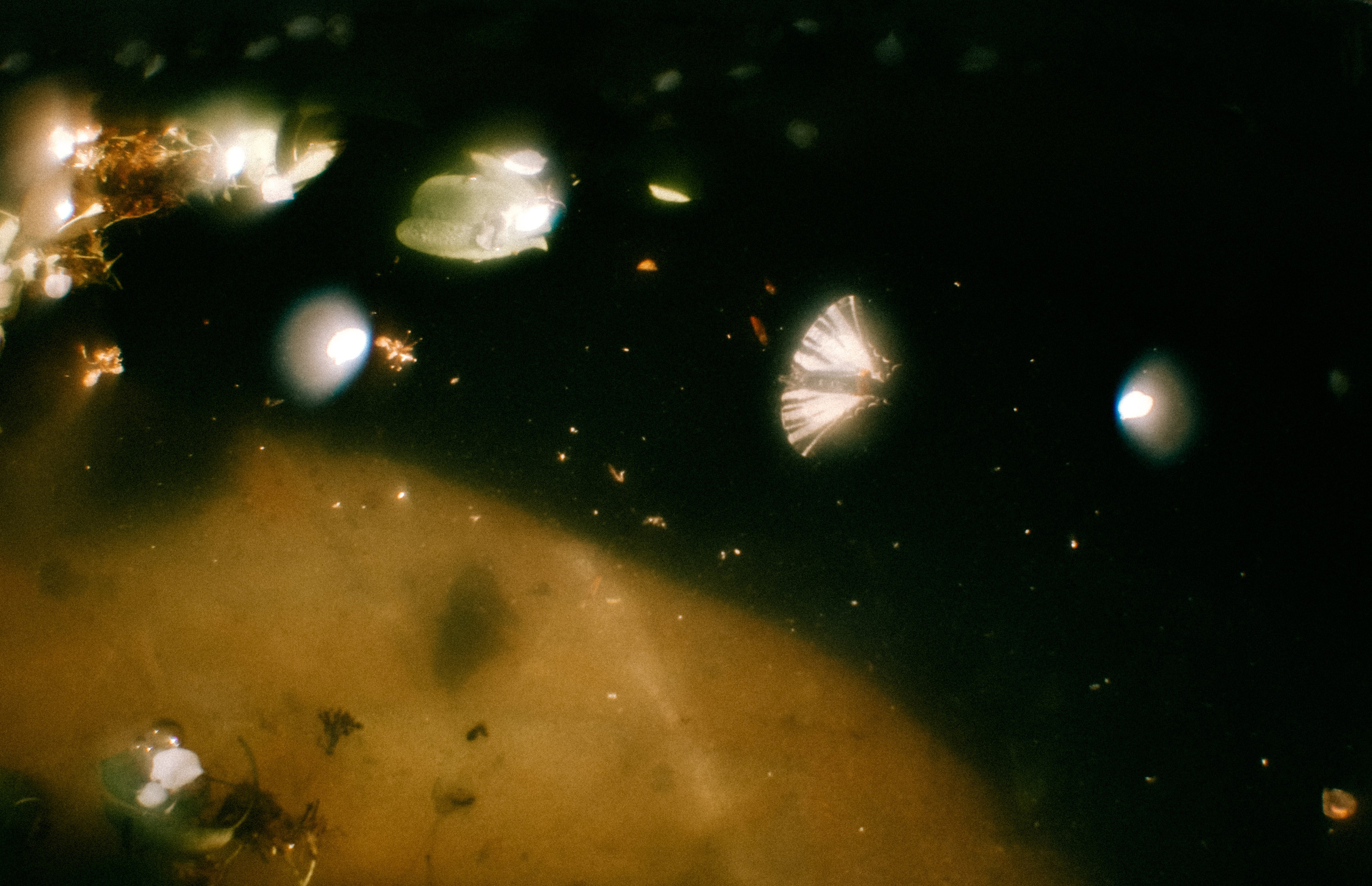 Пикториальный альбом. Семейный LIFESTYLE фотограф в Москве