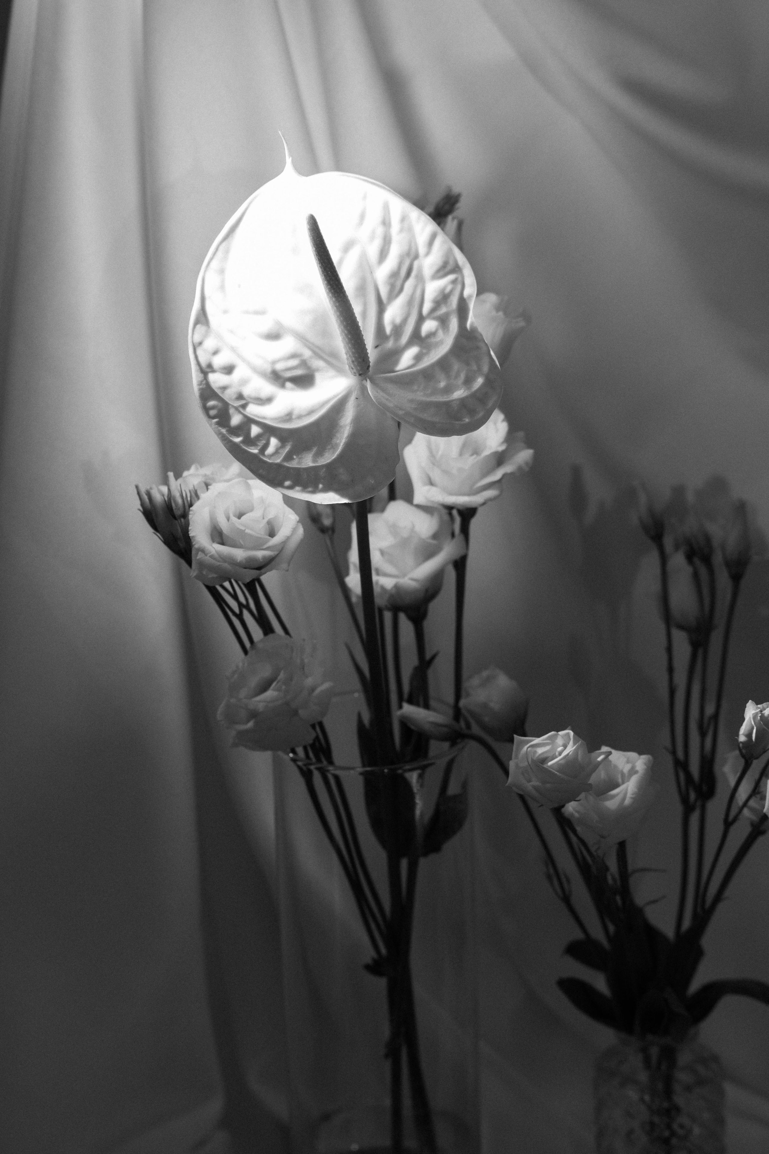 Крепкие объятия. Свадебный и портретный фотограф Соломко Диана