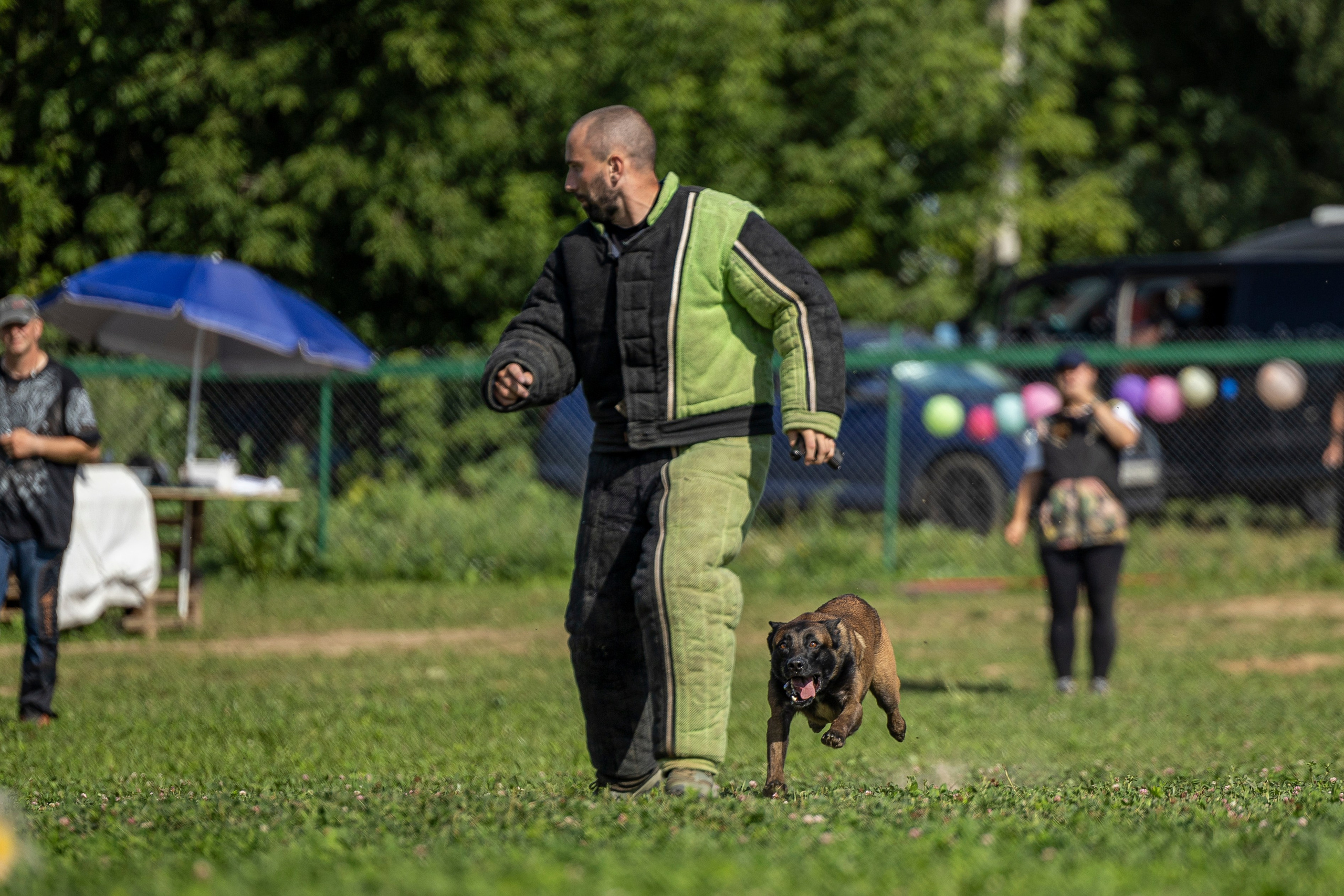 Соревнования по Мондьорингу г. Вологда 10-11.08.2024. Фотограф-анималист Анна Маринич