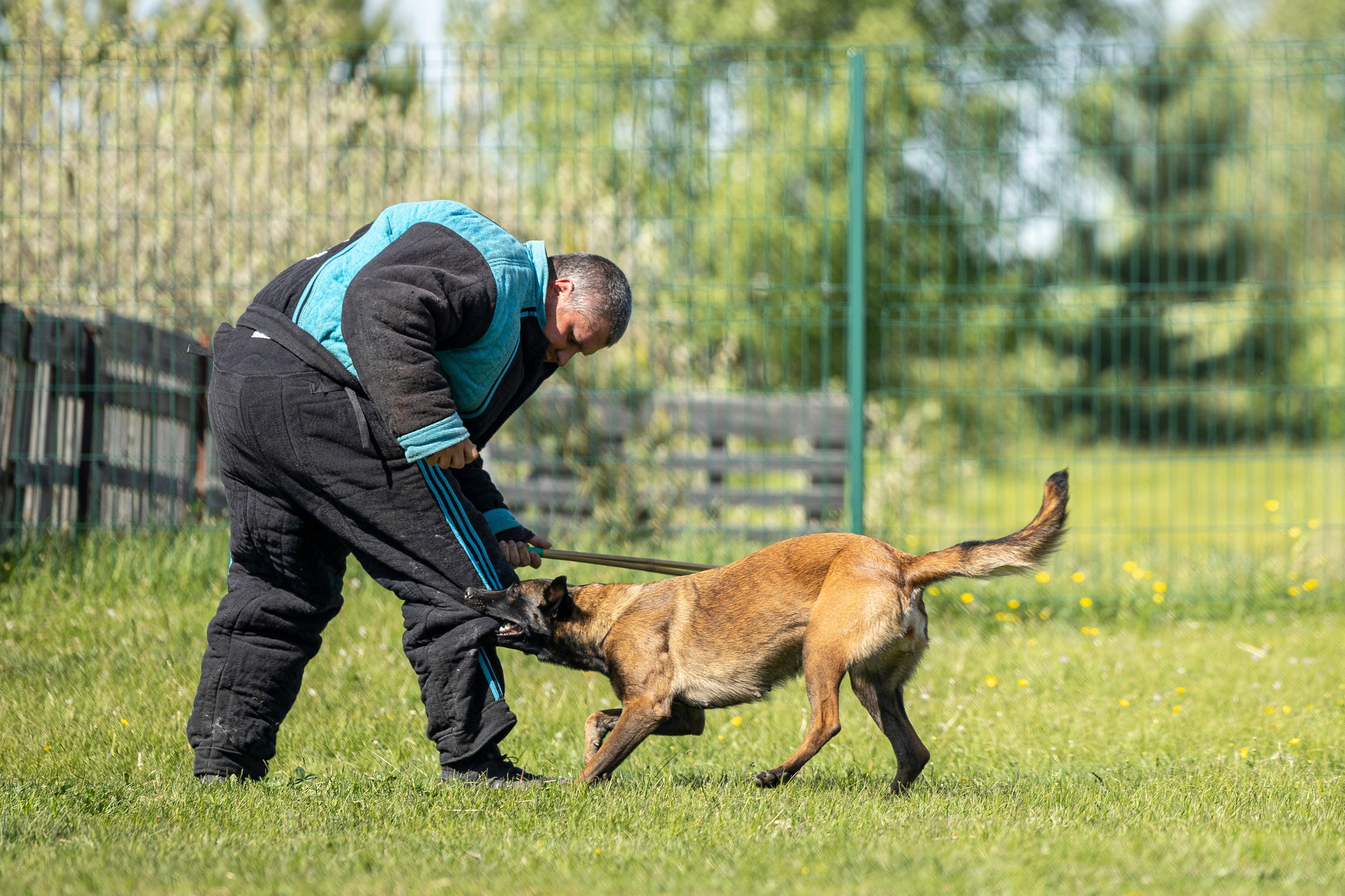 Испытания по мондьорингу в Нижнем Новгороде. Фотограф-анималист Анна Маринич