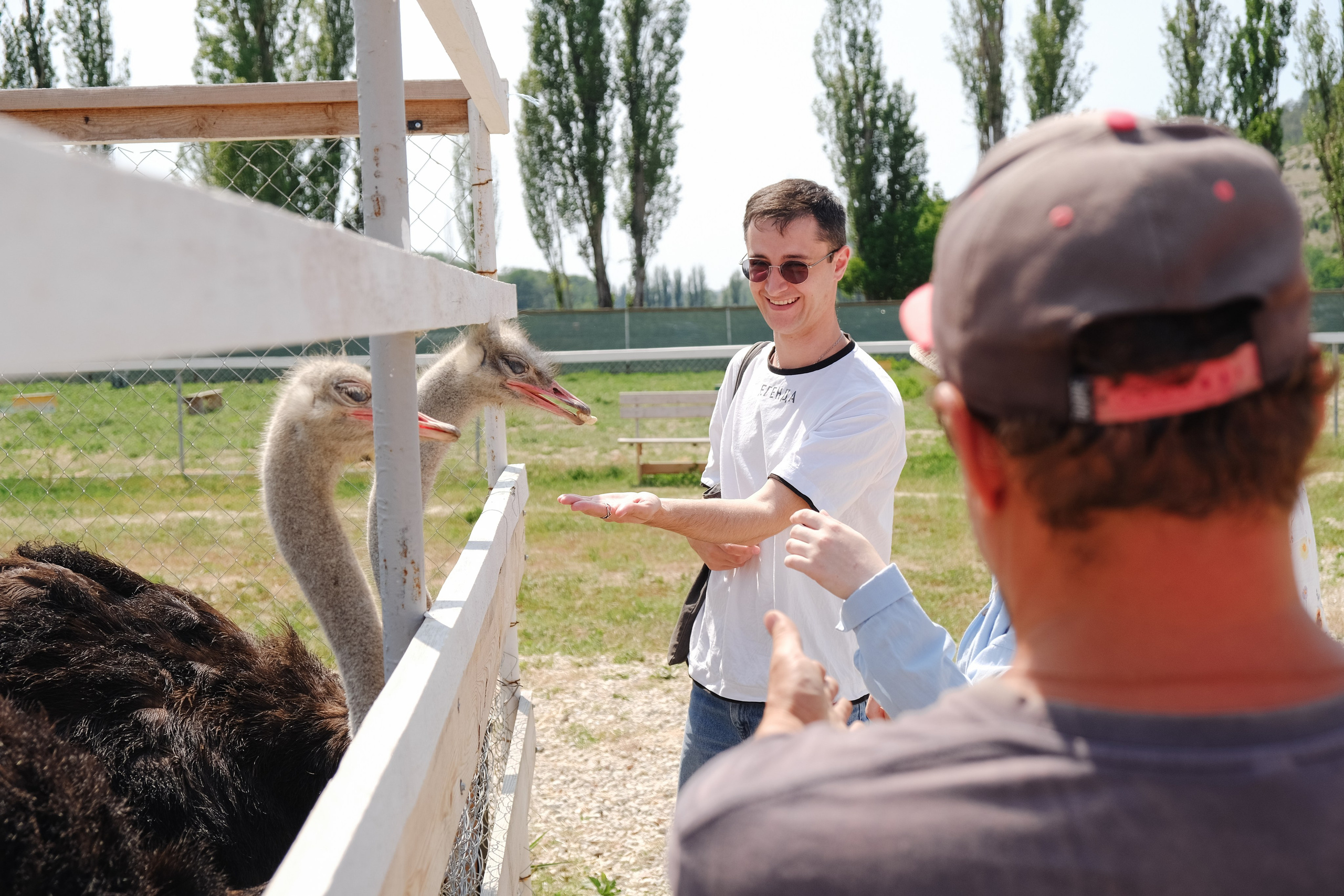 Репортаж на ферме. Профессиональная фотосъемка в Крыму. Натуральные эмоции и живые кадры. Забронируйте дату прямо сейчас!