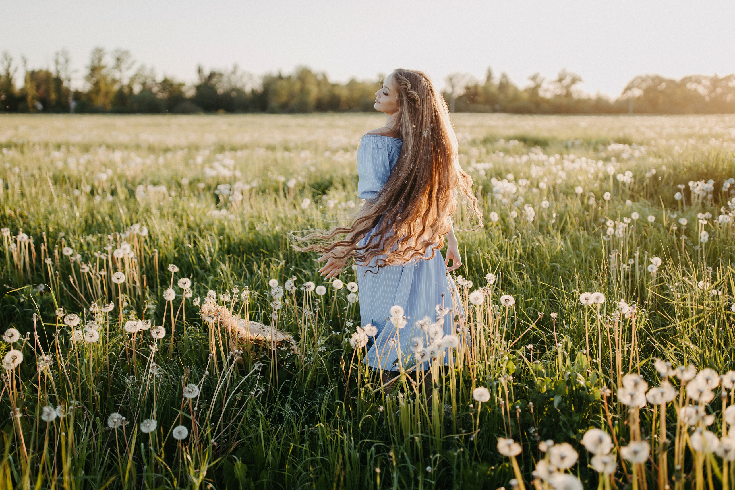Одуванчиковое. Фотограф в Санкт-Петербурге Знаменская Ирина