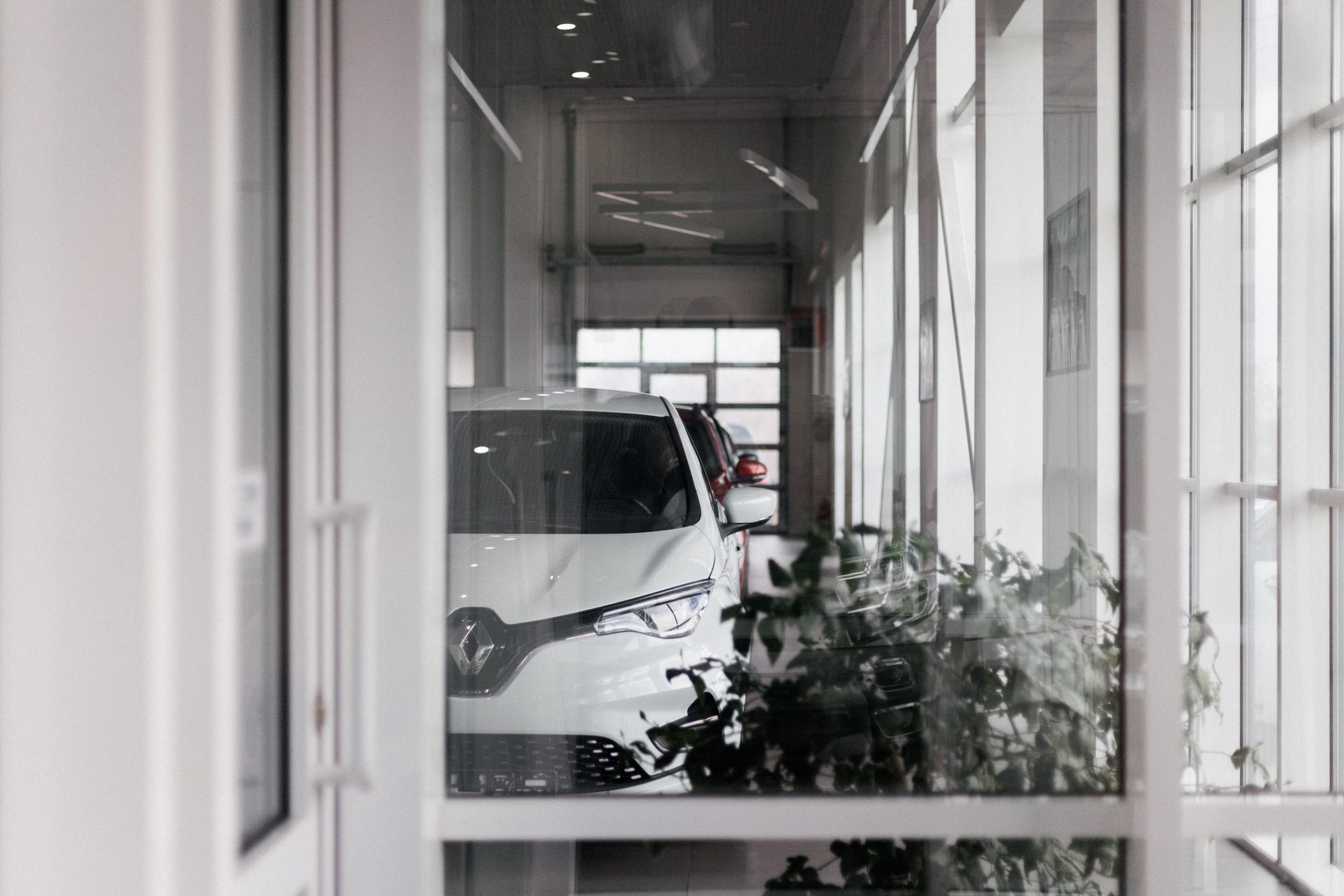 ДЕНЬ ЗАЩИТЫ ПРЕДПРЕНИМАТЕЛЕЙ. СВОИ. ФОТООТЧЕТЫ-СОБЫТИЯ-МЕСТА