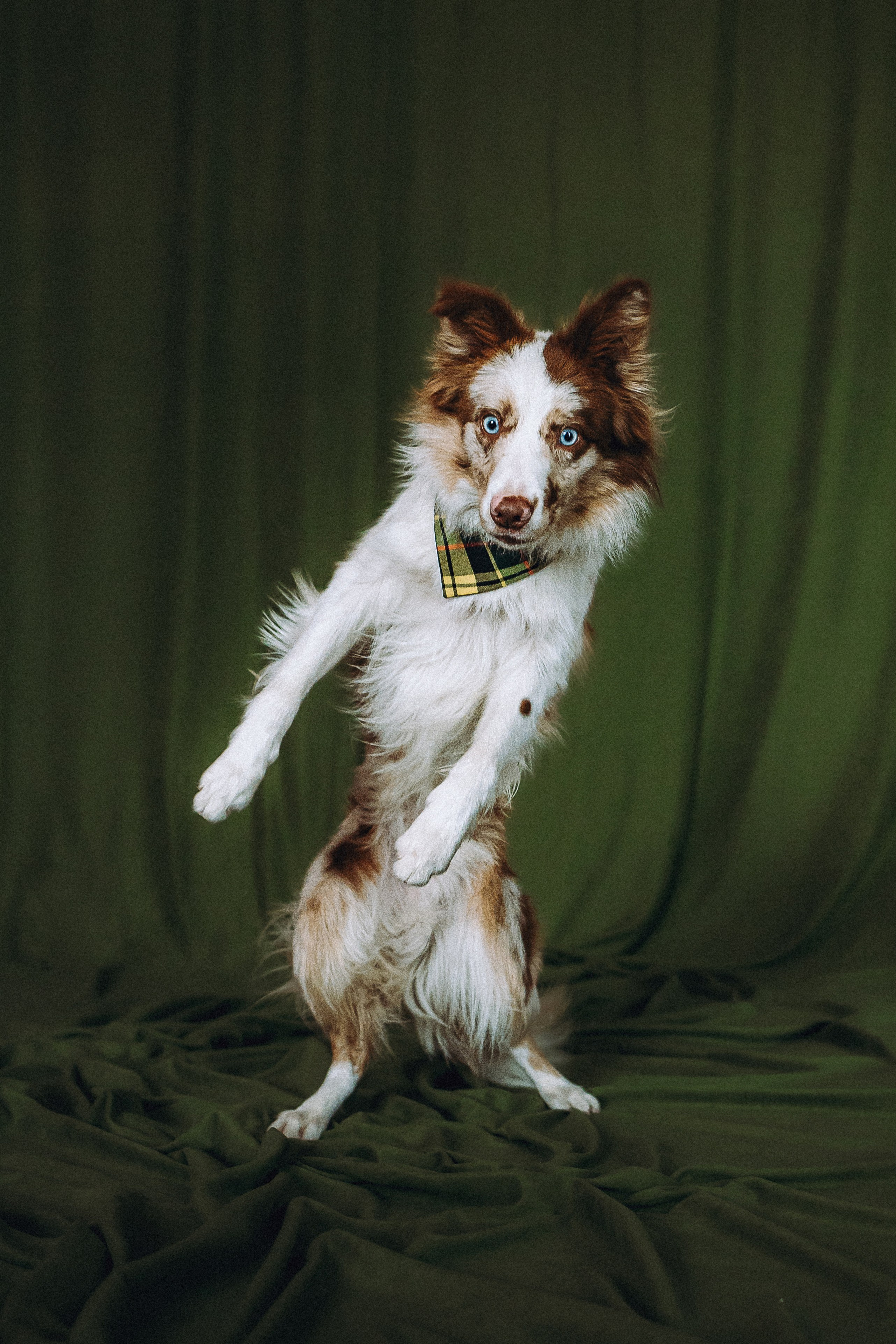 День рождения Айко