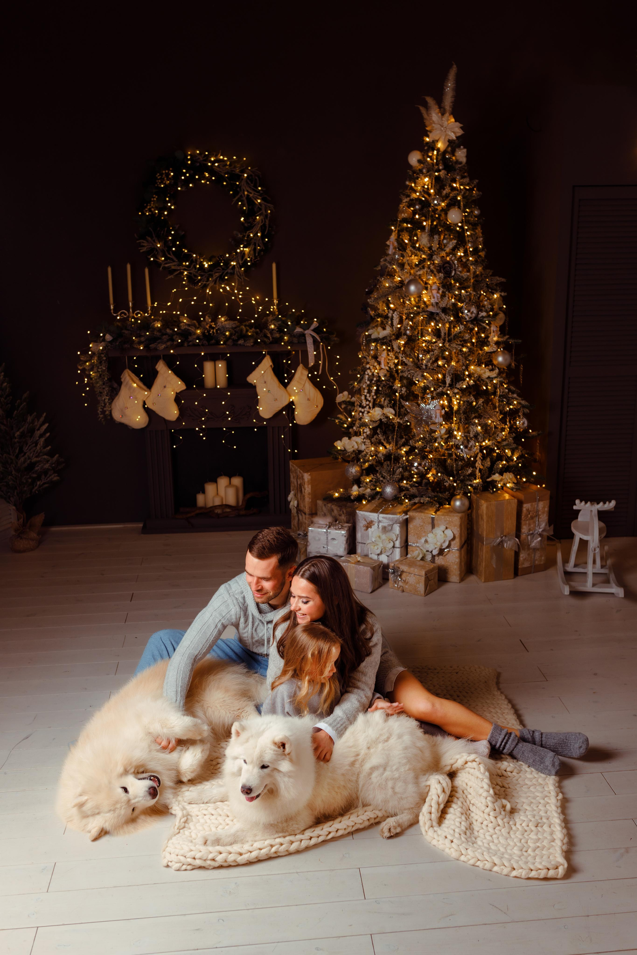 Новогодние фотосессии. Фотограф женского портрета, беременности и материнства Харькова Елена