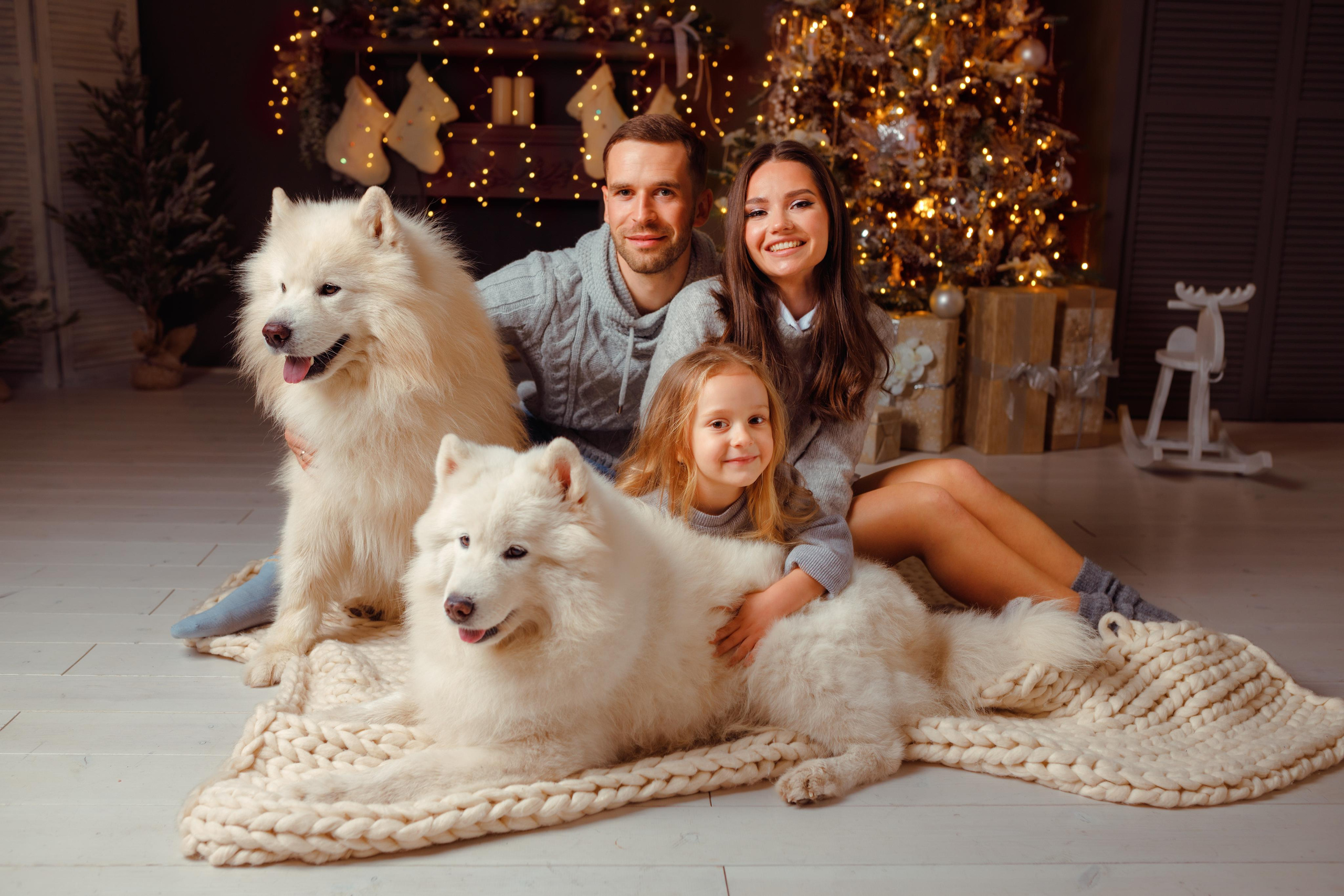 Новогодние фотосессии. Фотограф женского портрета, беременности и материнства Харькова Елена