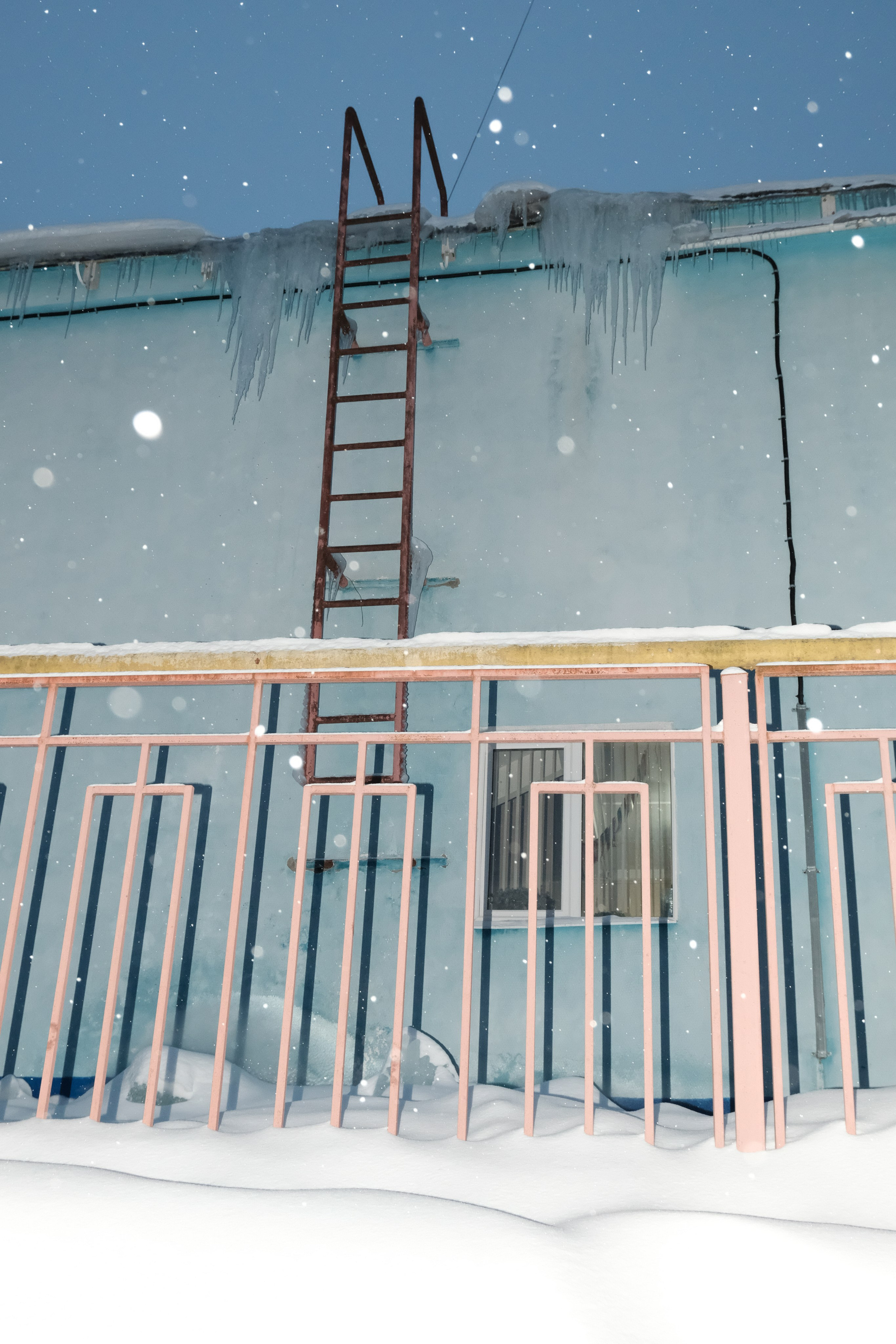 Цвет. Художественный фотограф в Калуге