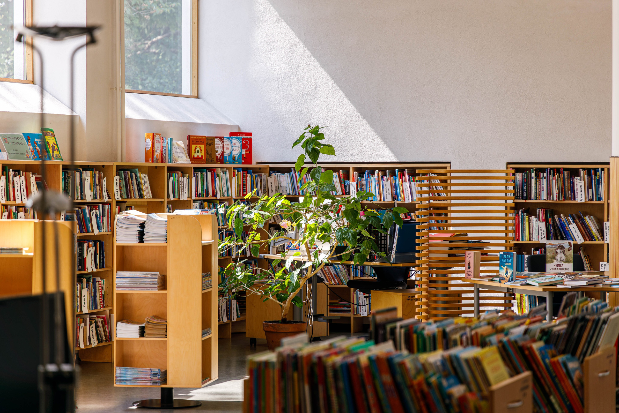 Центральная городская библиотека Алвара Аалто в Выборге. Фотограф Балаев Михаил