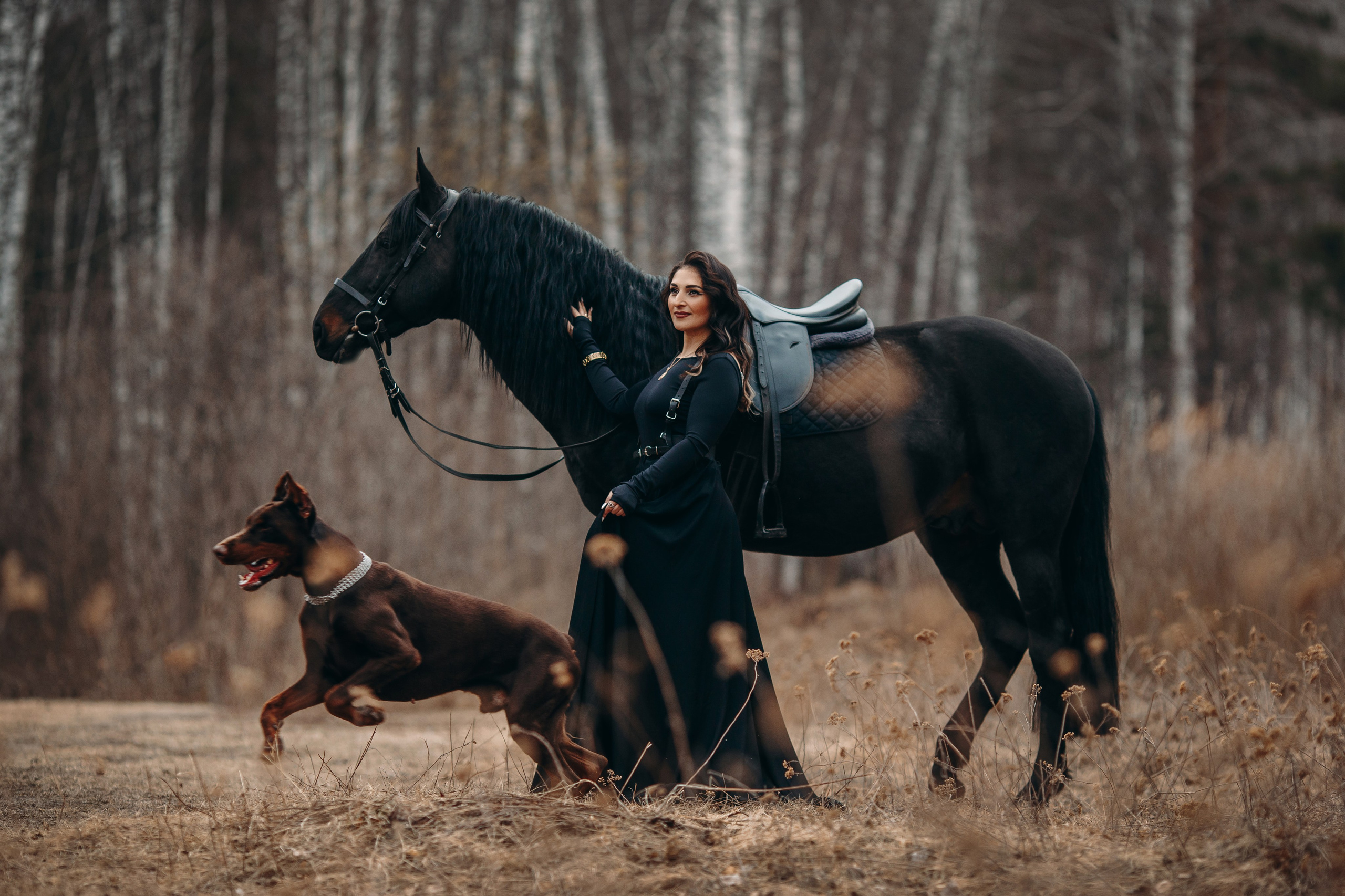 Анна, Басмач и Кипер. Анна Молчанова конный фотограф в Тюмени | фотосессии с лошадьми Тюмень