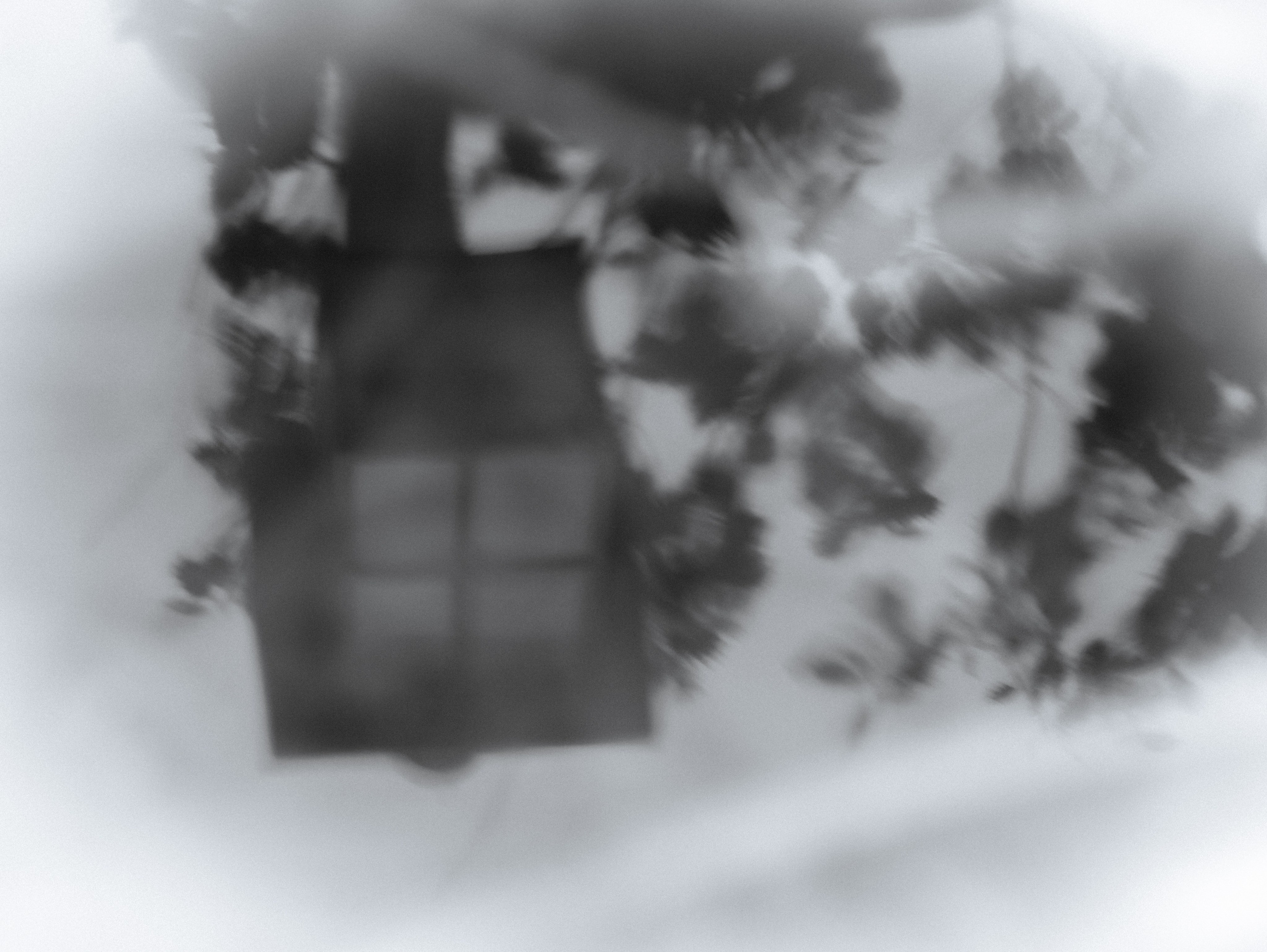 Silence. Главная