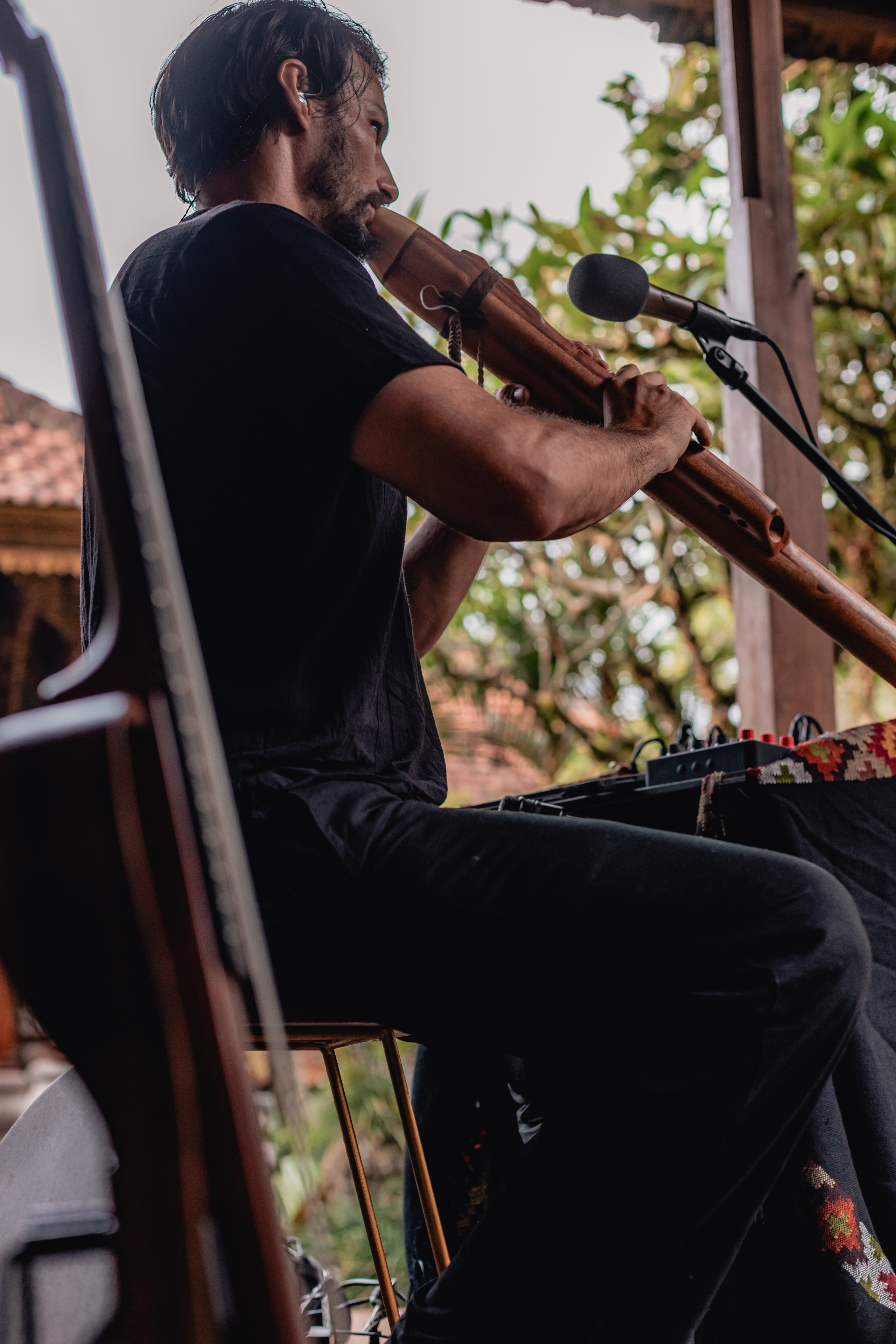 Alegria festival at Zest. Мариам Багдасарян