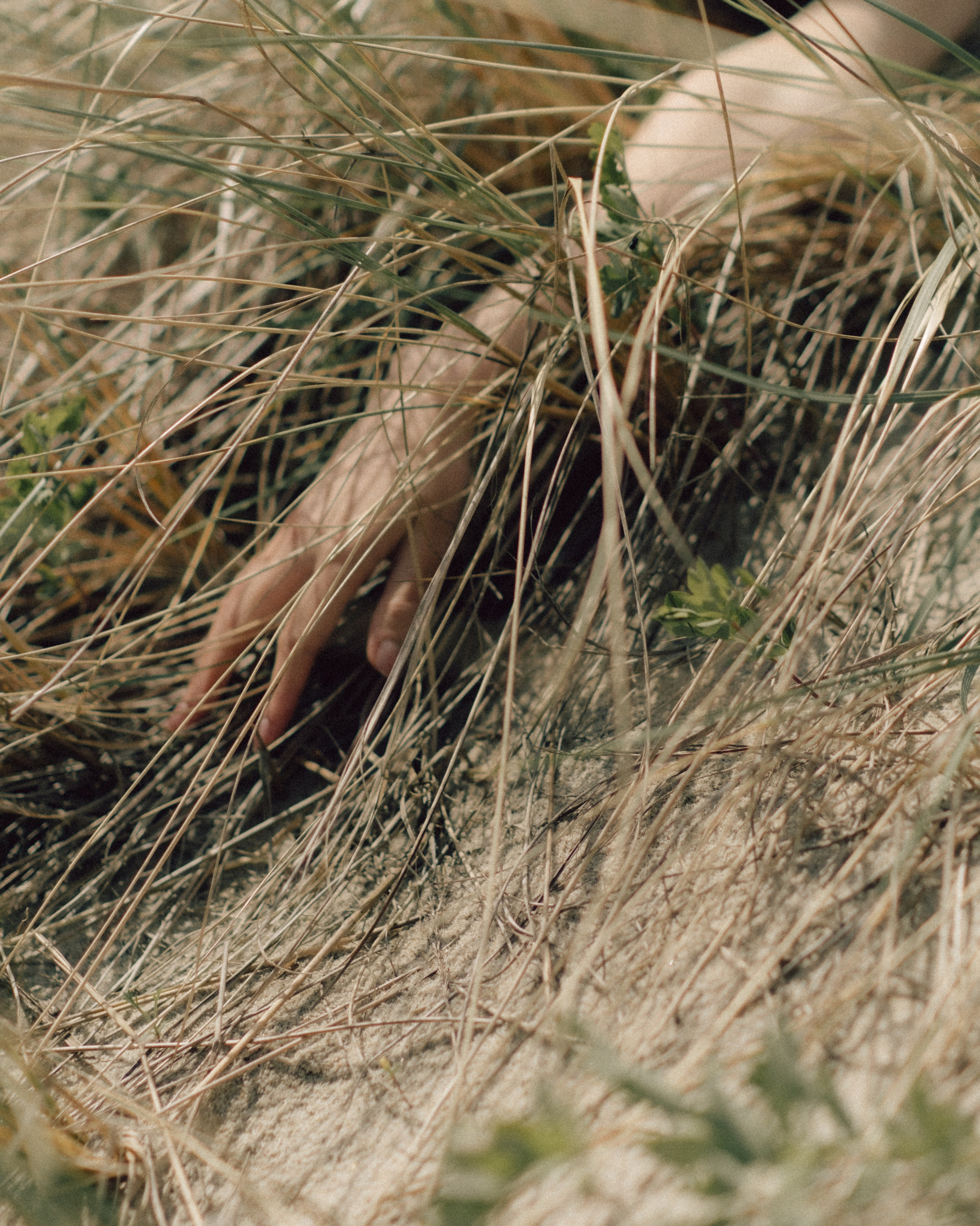 Kristina. Фотограф Ксения Дзюбак Самара-Москва