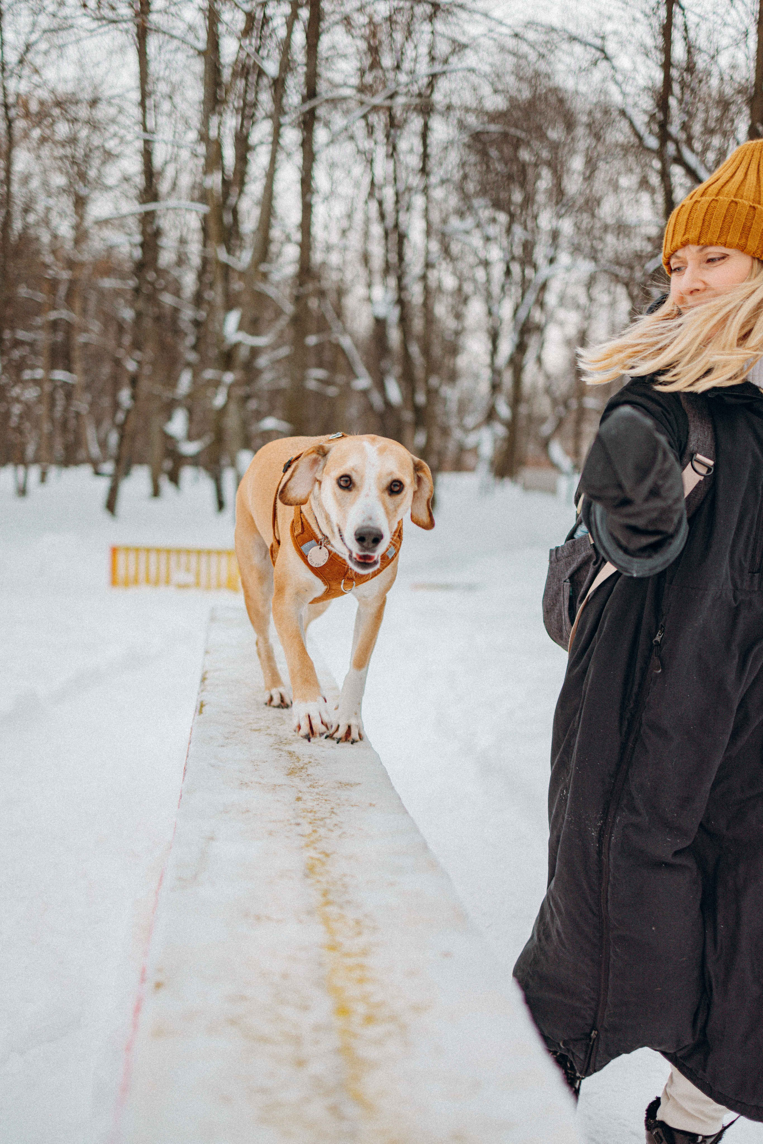 Свобода и ее семья. Фотограф-анималист в Москве Лера Черноног