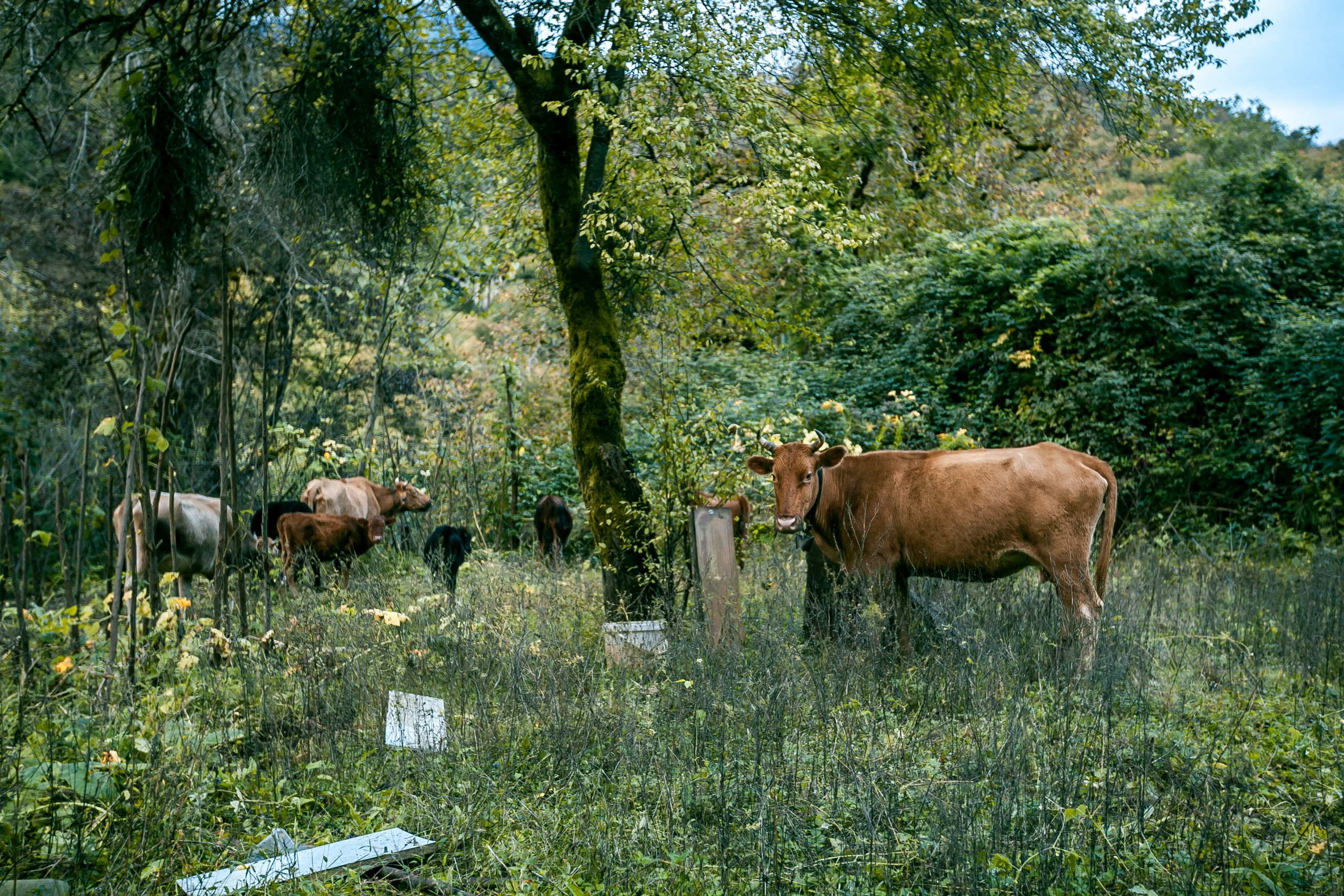 Пейзажный, интерьерный, архитектурный  фотограф Москва