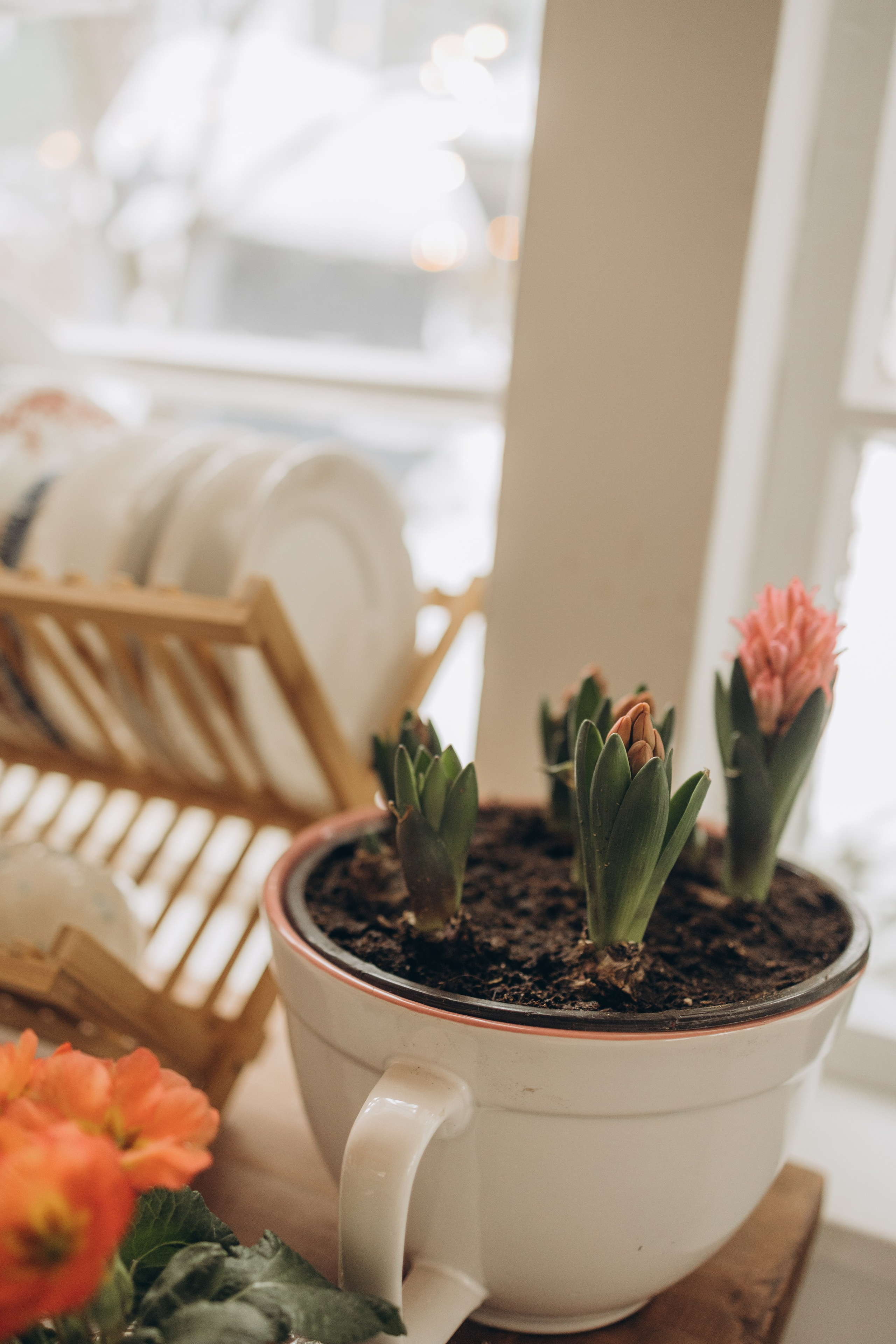 Маша и Лера. Семейный фотограф в Москве Виктория Ястребинская