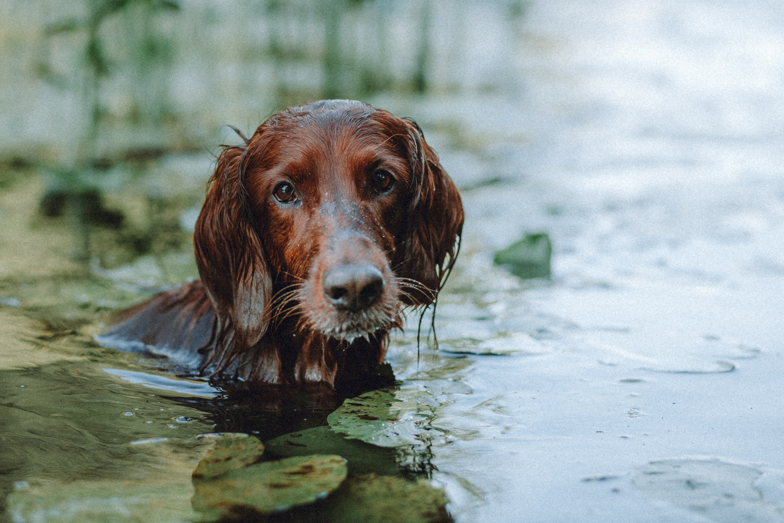 Маша и Джерри