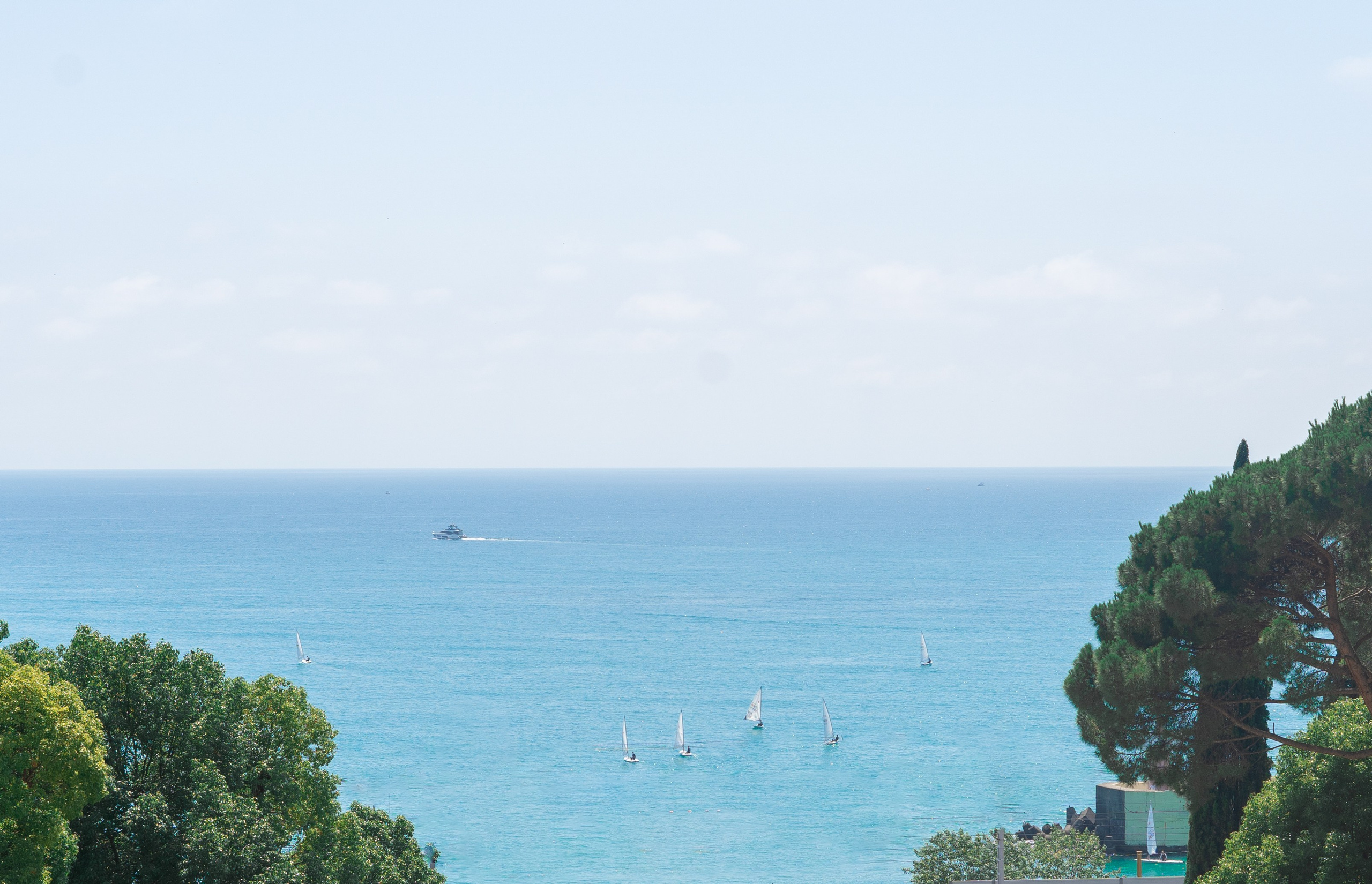 Свадебная прогулка. Фотограф Виолетта Матевосян